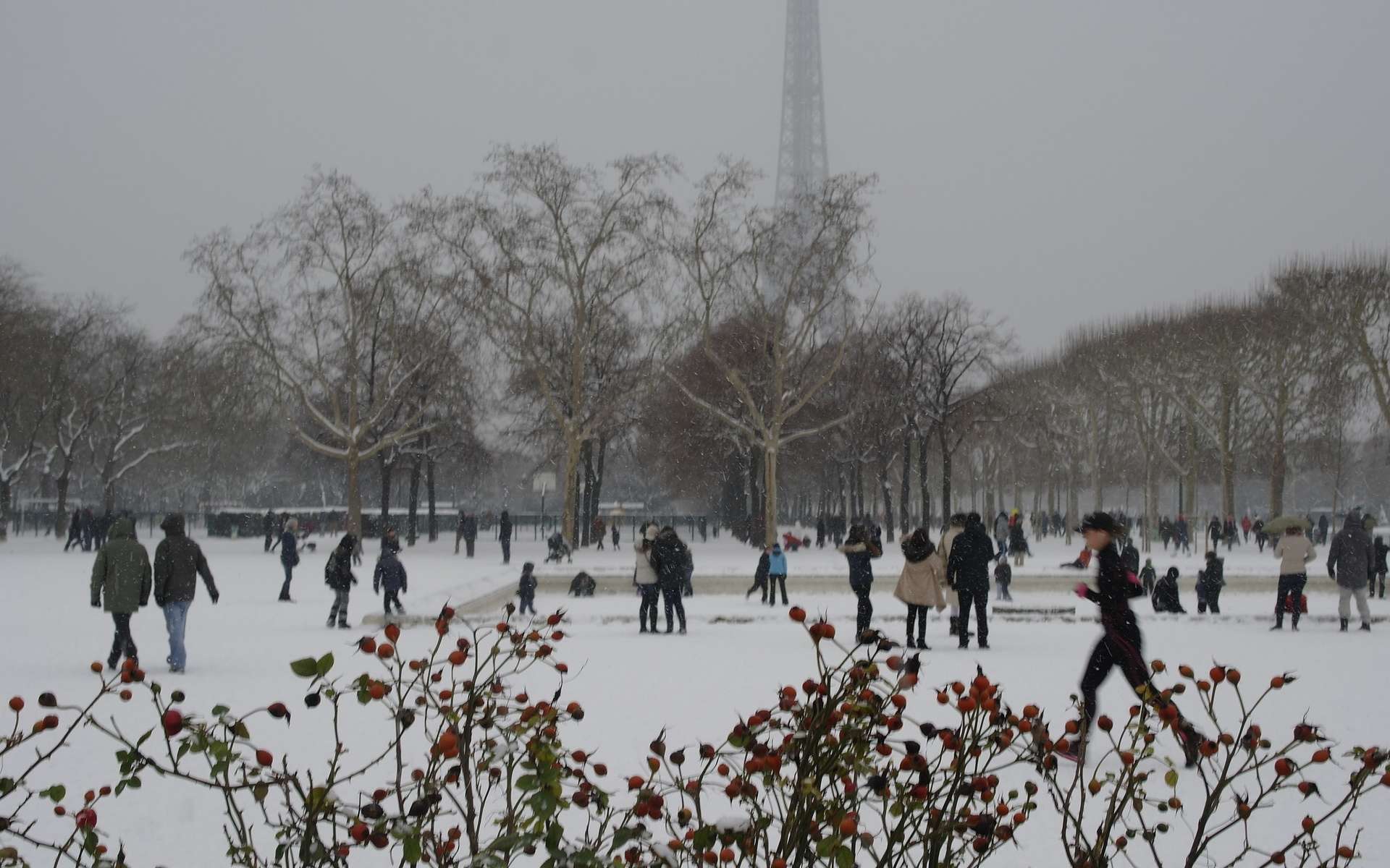 Froid polaire en France : et le réchauffement climatique dans tout ça ?