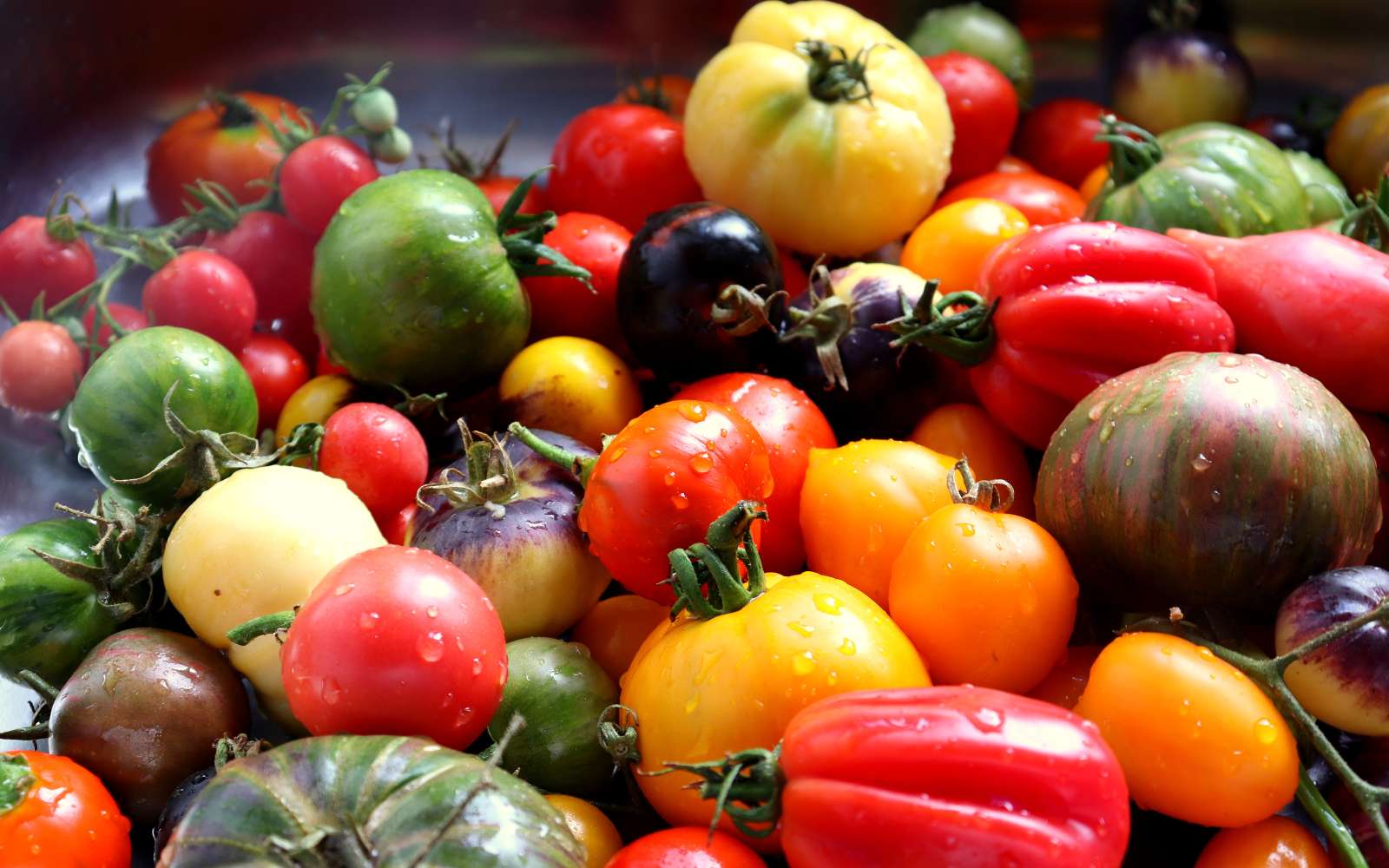 Attention, dernière ligne droite : ces tomates rares peuvent encore être semées