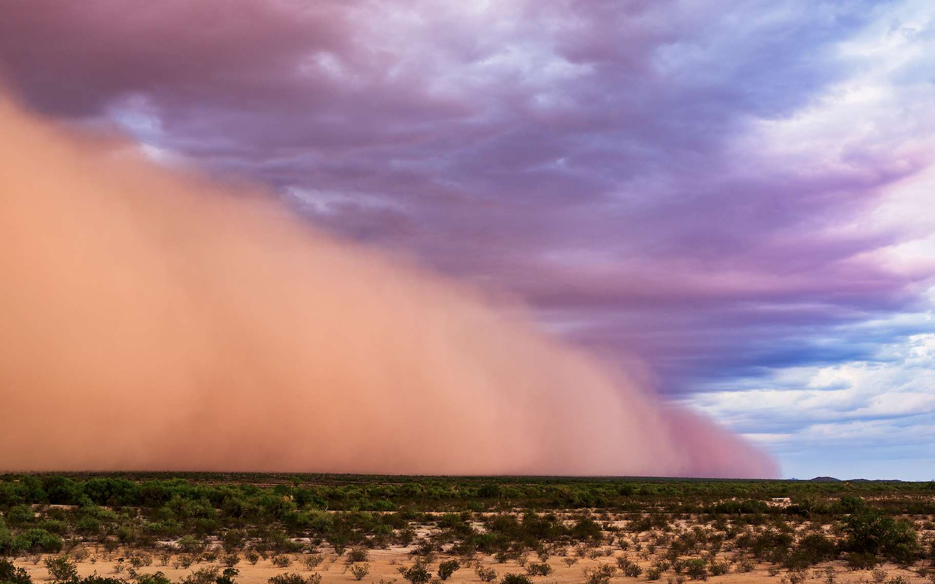 Tempête de sable en Arizona. © JSirlin, Adobe Stock