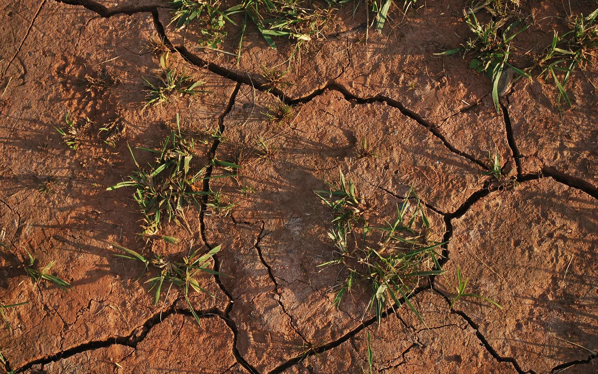 Aucune amélioration de la situation de sécheresse des nappes souterraines n'est prévue avant l'automne. © PublicDomainPictures, Pixabay