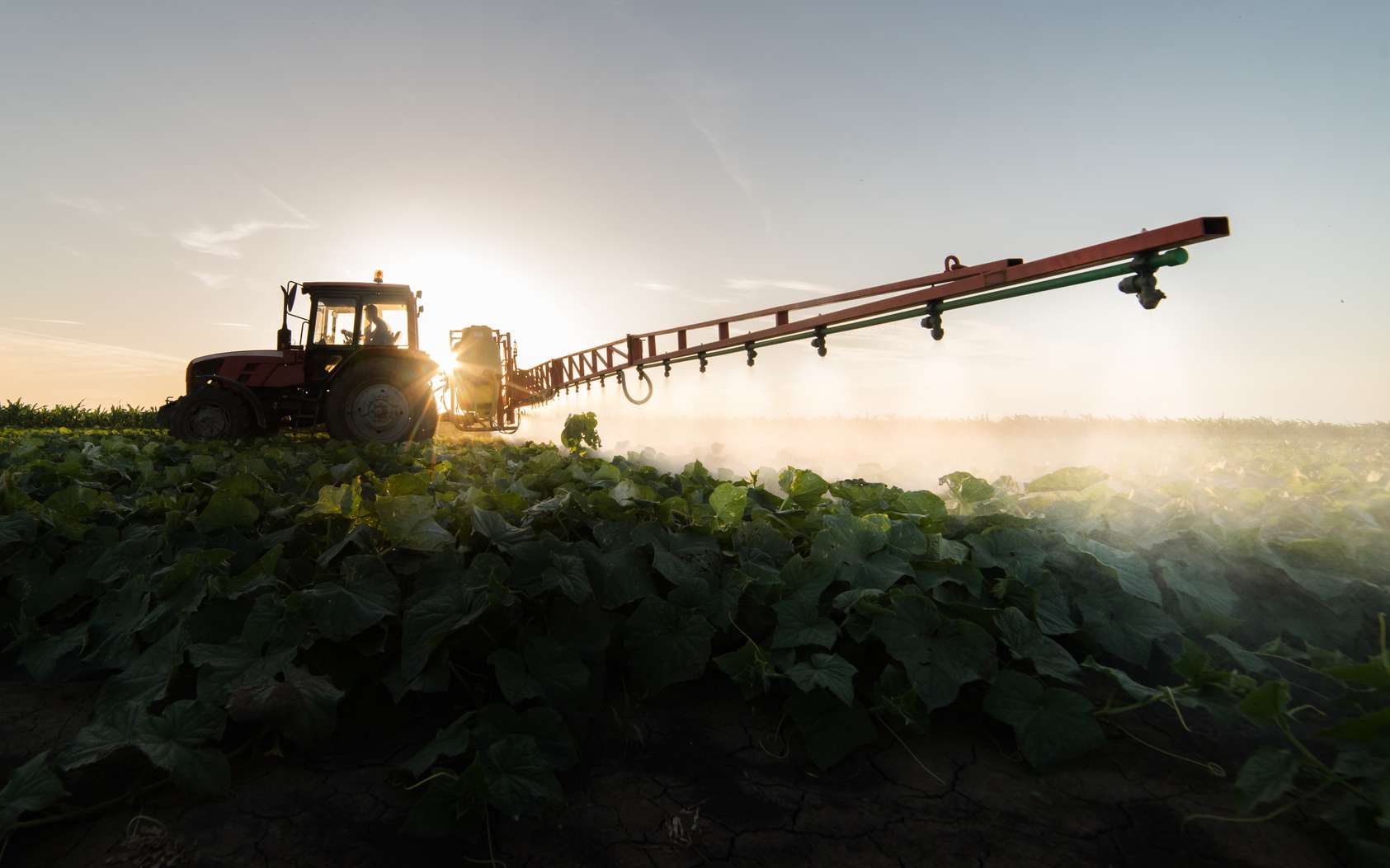 Pesticides : les pays plus gros consommateurs Le Costa Rica est le premier utilisateur de pesticides par hectare. © Dusan Kostic, Fotolia