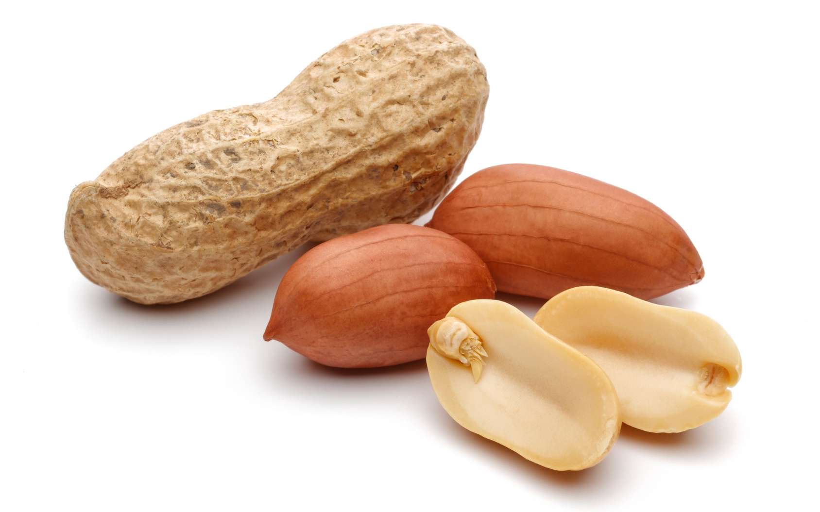 L’arachide, ou cacahuète, est à l’origine d’une grave allergie alimentaire. © mahirart, Fotolia