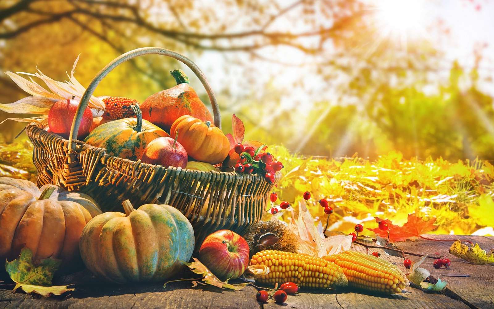 Quels L gumes Manger En Automne quels-l-gumes-manger-en-automne