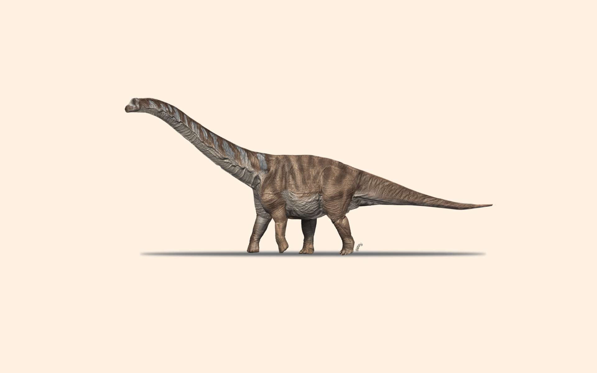 Vue d'artiste du titanosaure Abditosaurus kuehnei, dont les restes ont été trouvés en Catalogne et datent d'il y a 70,5 millions d'années. © Oscar Sanisidro, Museu de la Conca Dellà