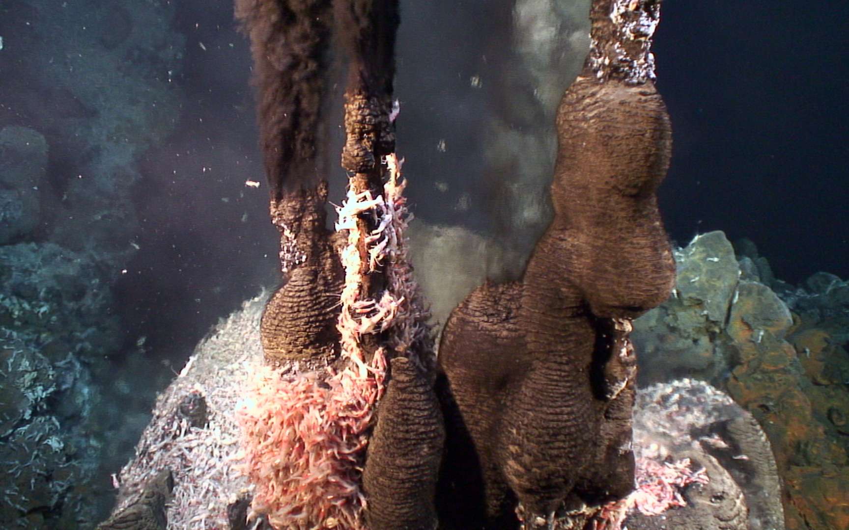 Image de cheminées hydrothermales, autour desquelles la vie s'est développée à foison. © Victor 6000, Ifremer, nc nd
