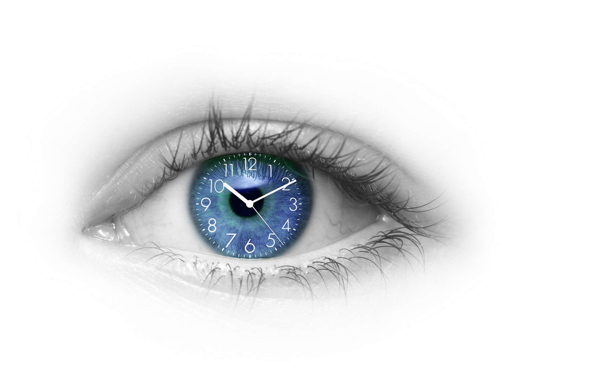 Horloge circadienne : les cônes reviennent dans la partie