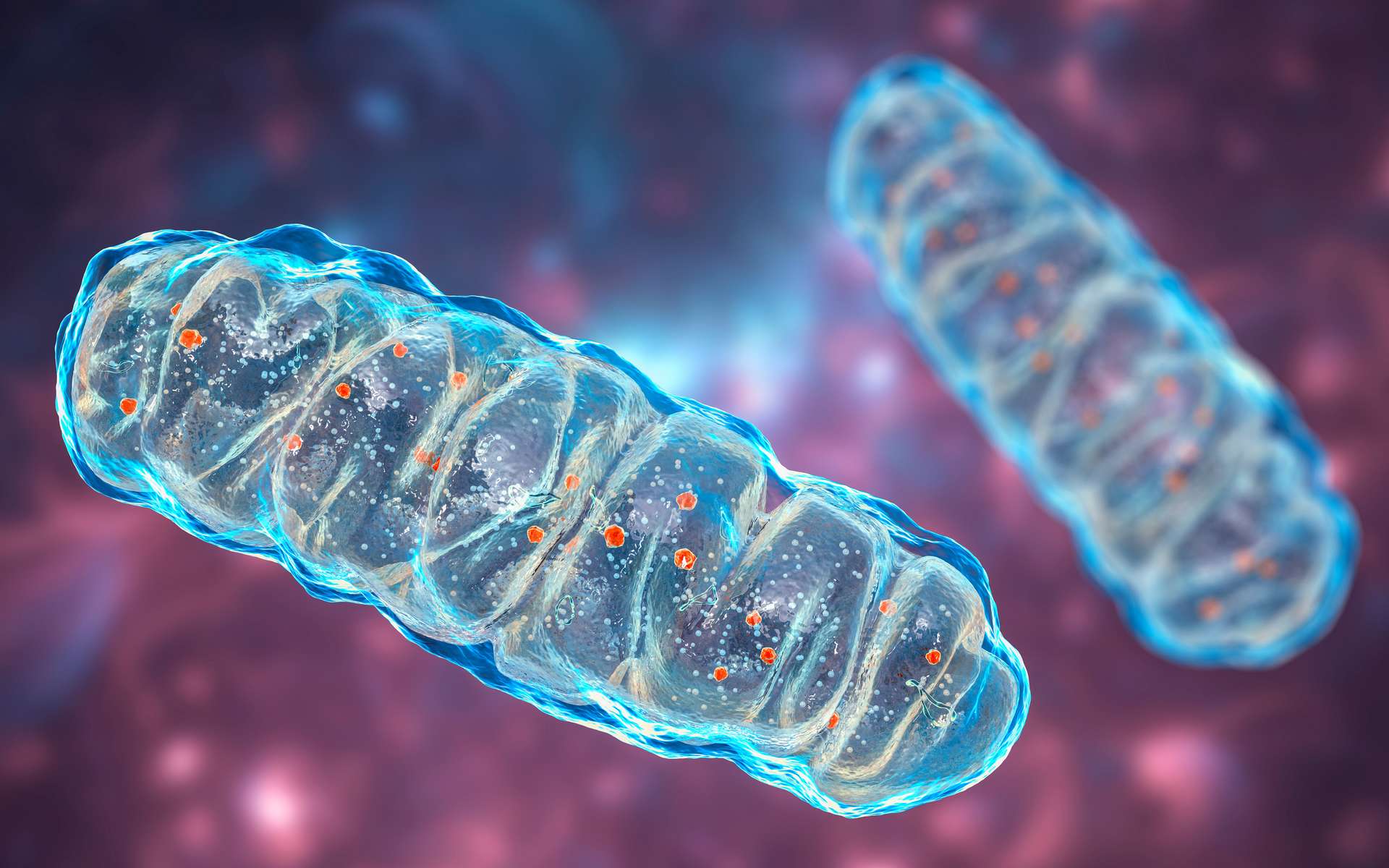 Parkinson : une mutation dans l'ADN mitochondrial pourrait protéger de la maladie