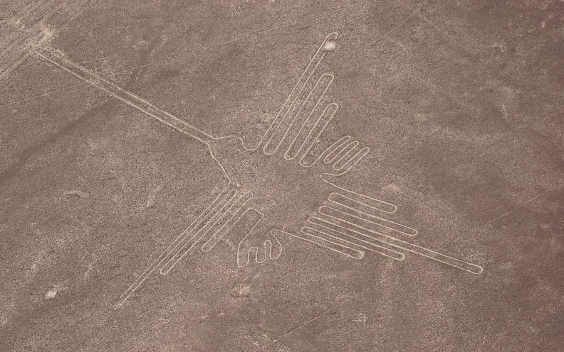 Nouveaux mystères à Nazca : des centaines de géoglyphes inconnus refont surface dans le désert