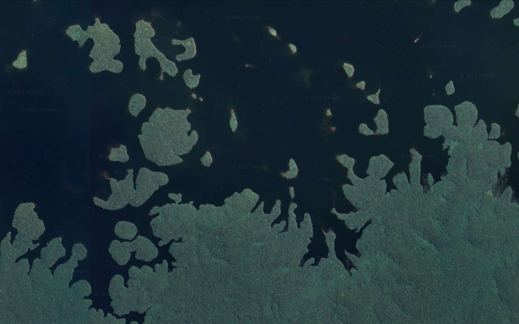 Amazonie: les écosystèmes des îles forestières sont condamnés