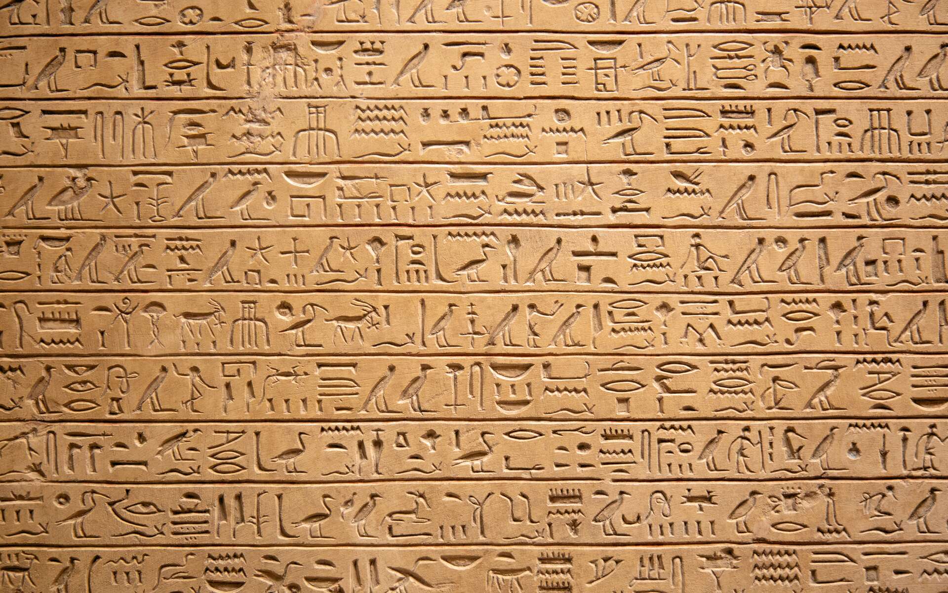 Un papyrus du Livre des Morts de 16 m de long découvert à Saqqarah