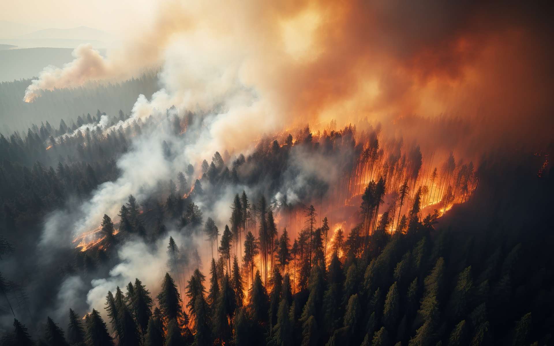 Les incendies de forêt en été et la pollution atmosphérique en hiver responsables de problèmes cardiaques