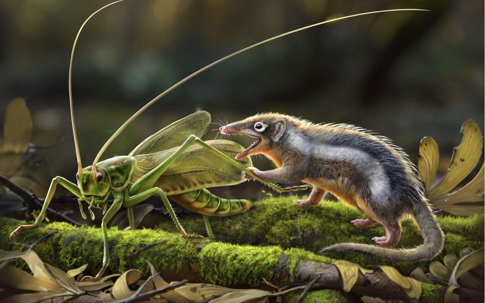 Ces découvertes remodèlent notre compréhension de l'évolution des mammifères