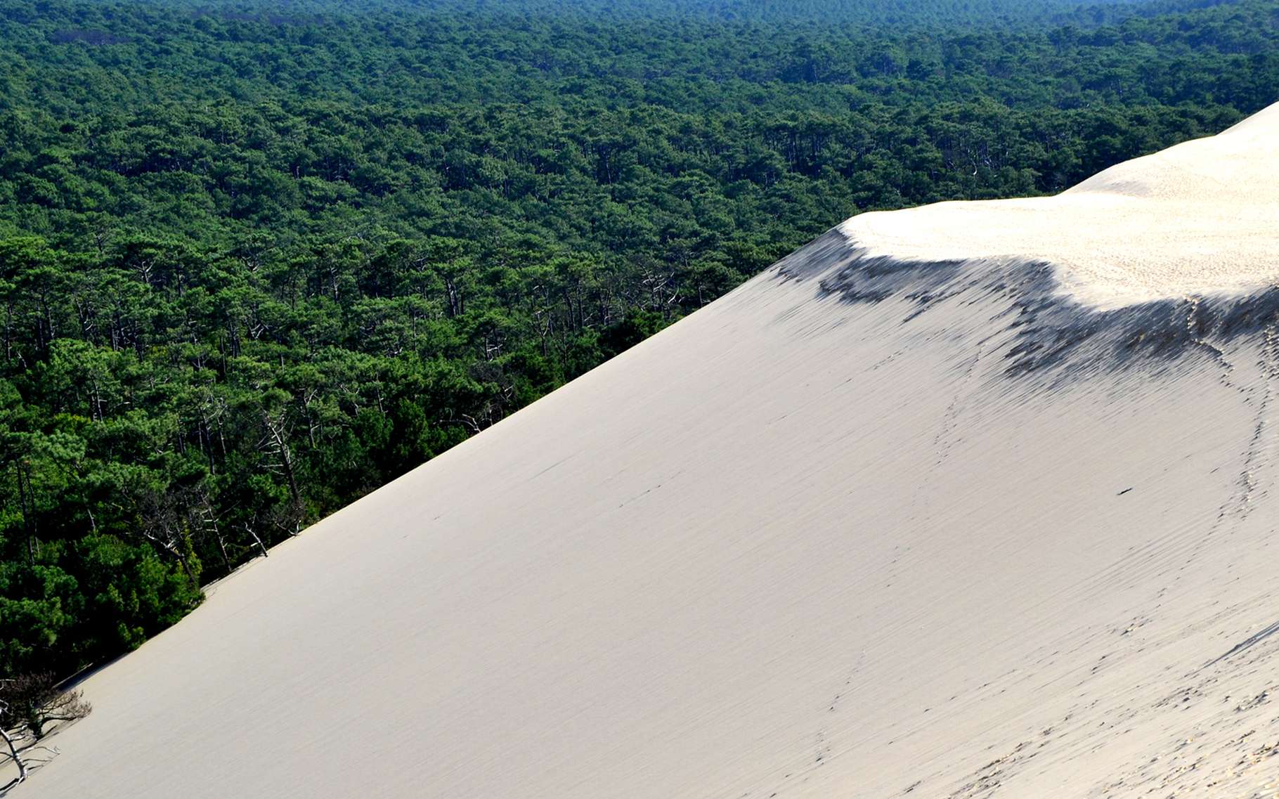 La dune du Pyla, édifice de sable, est la plus connue des attractions autour du bassin d'Arcachon. © DR