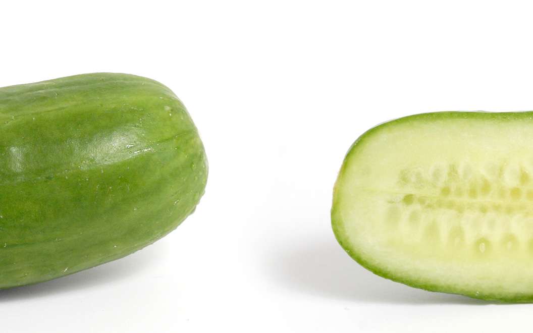 Le concombre se consomme volontiers au plus chaud de l'été. © Wikimedia Commons