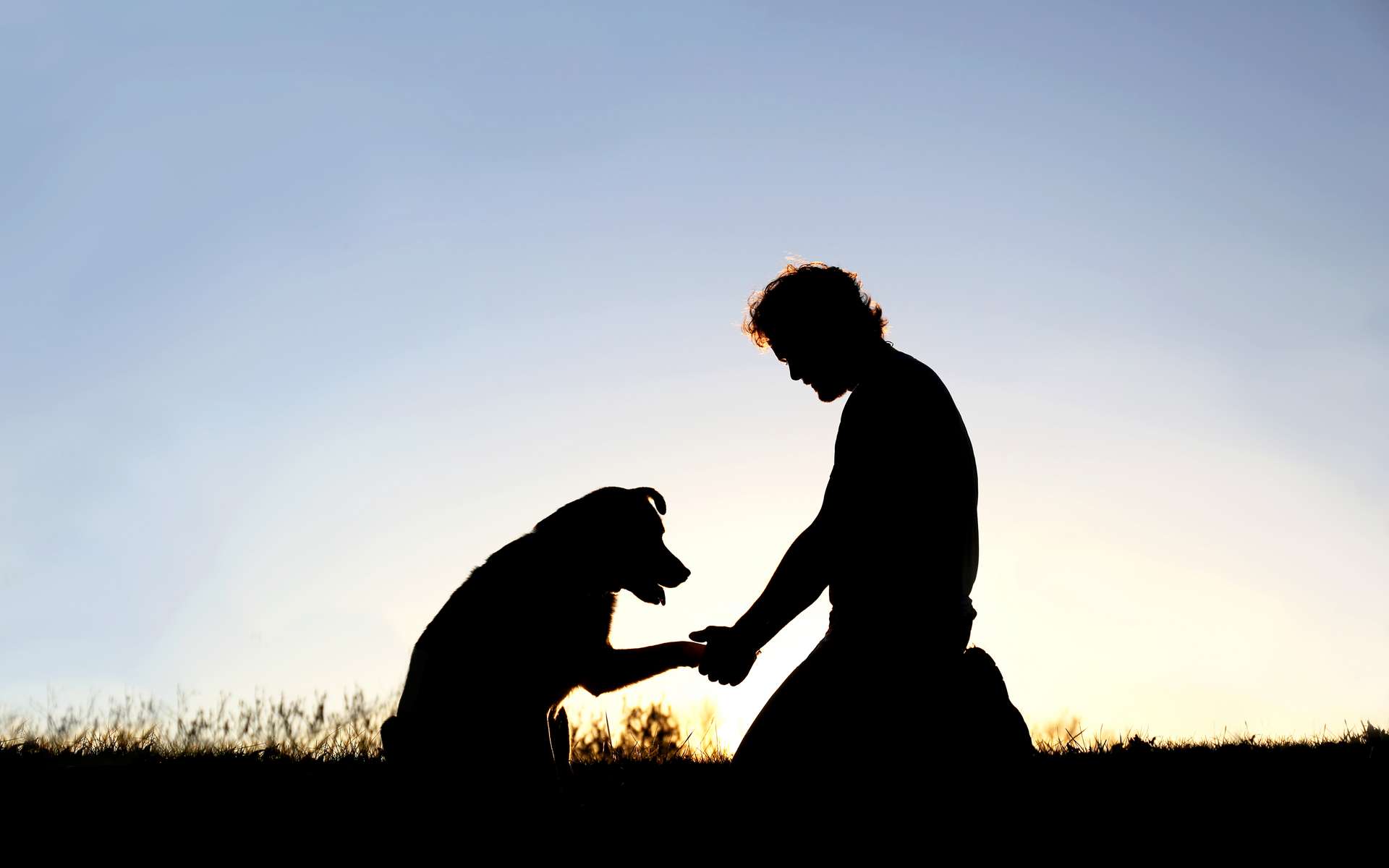 Les relations Hommes et chiens il y a 7.000 ans