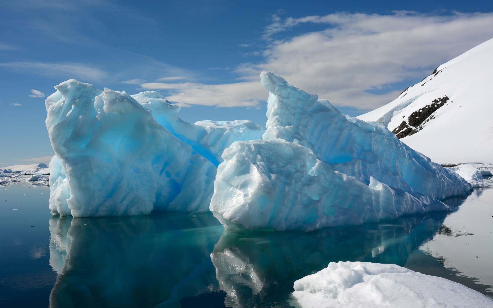 La fonte historique de la banquise en Antarctique annonce des impacts majeurs !