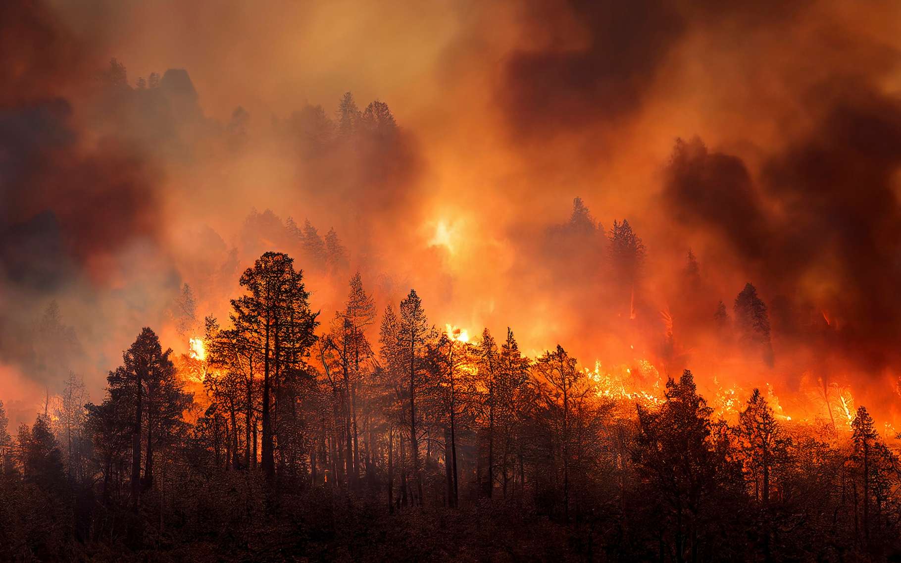 Des méga-incendies ravagent le Chili en proie à sa plus grande sécheresse depuis 1 000 ans
