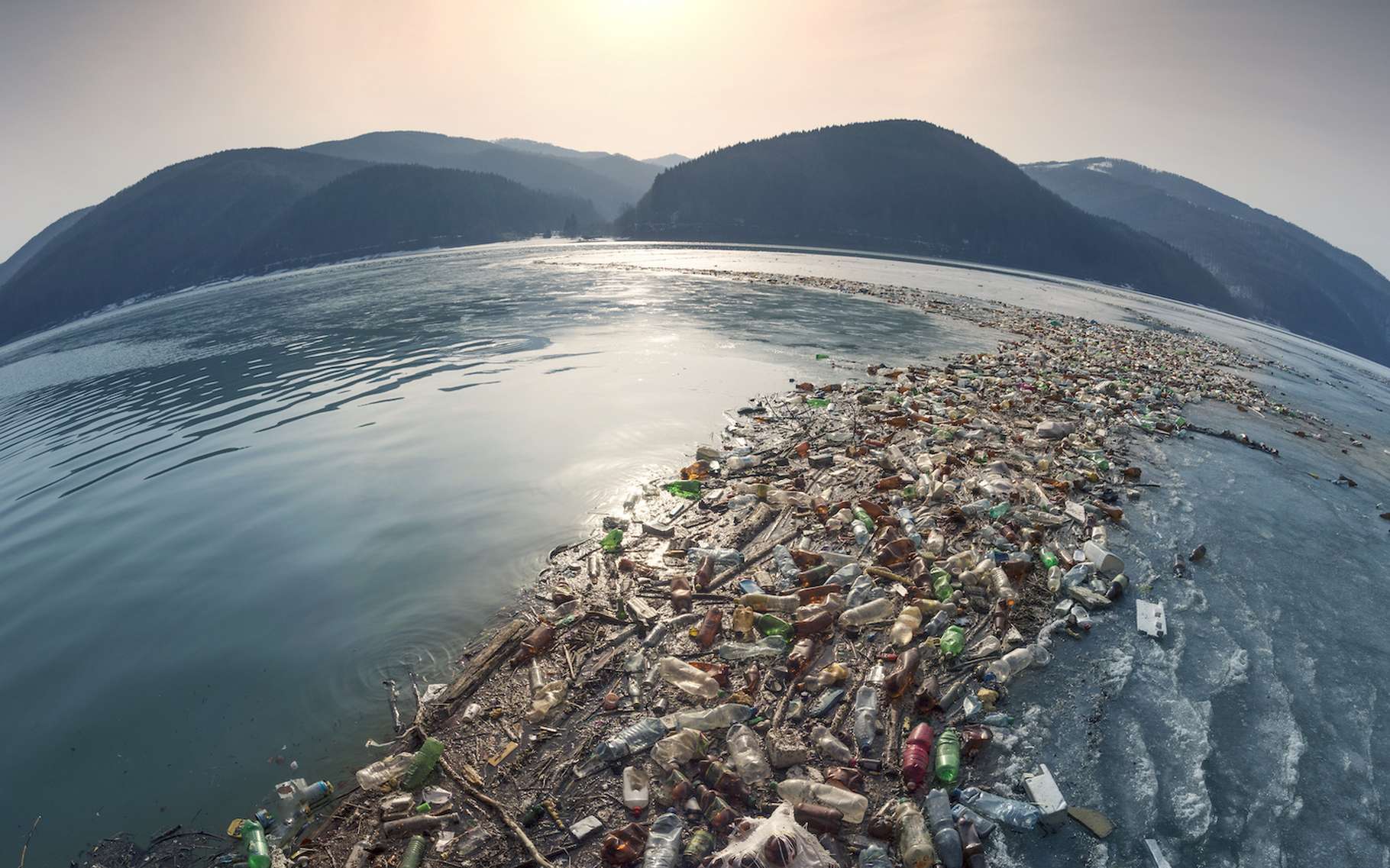 Ces quatre actions clés pourraient sauver les océans