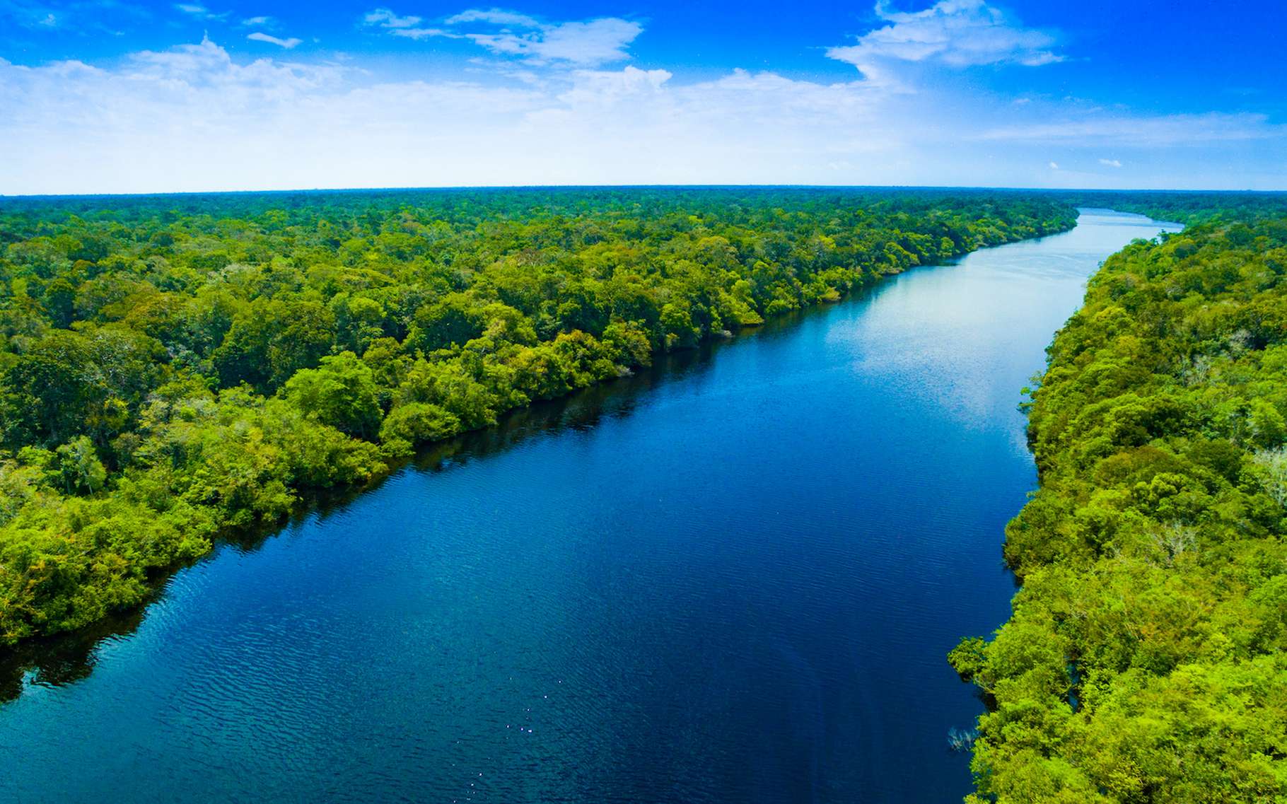 La luxuriante forêt amazonienne apparaît aujourd’hui plus proche que jamais de son point de basculement. En cause : le réchauffement climatique et la déforestation. © prasitphoto, Adobe Stock