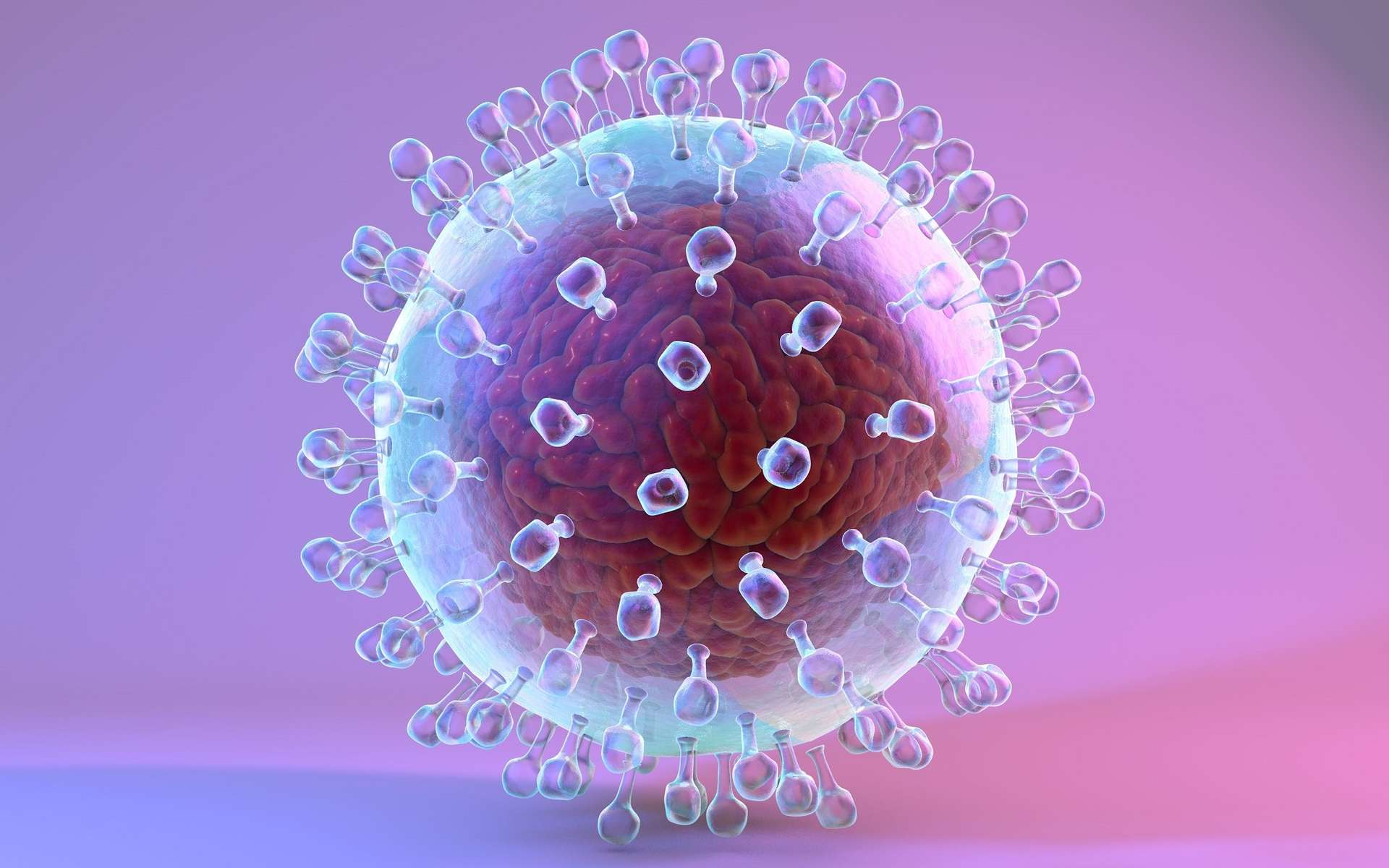 Le virus de l'hépatite C observé pour la première fois au microscope