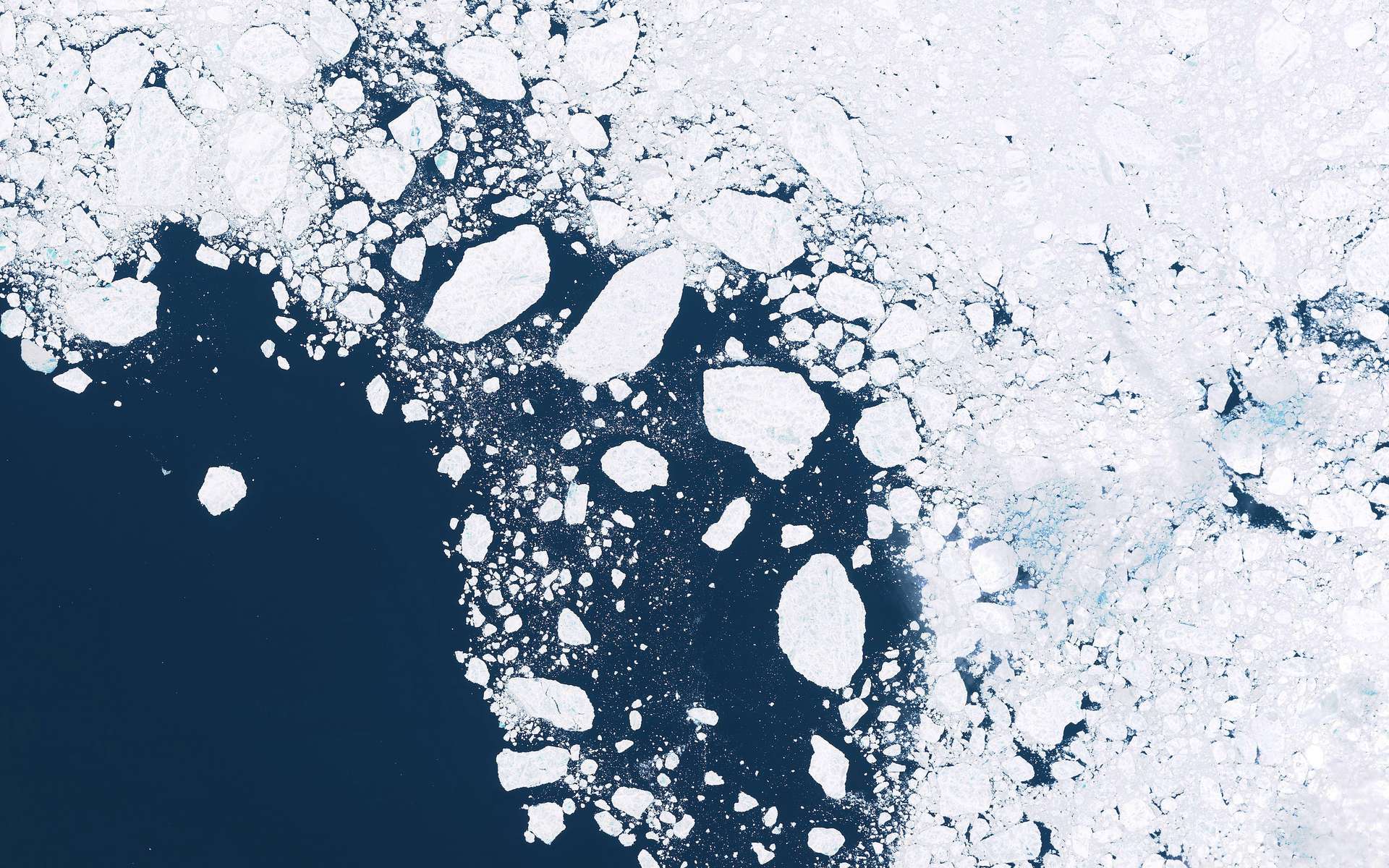 L'”apocalisse ghiacciata” in Antartide è appesa a un filo!