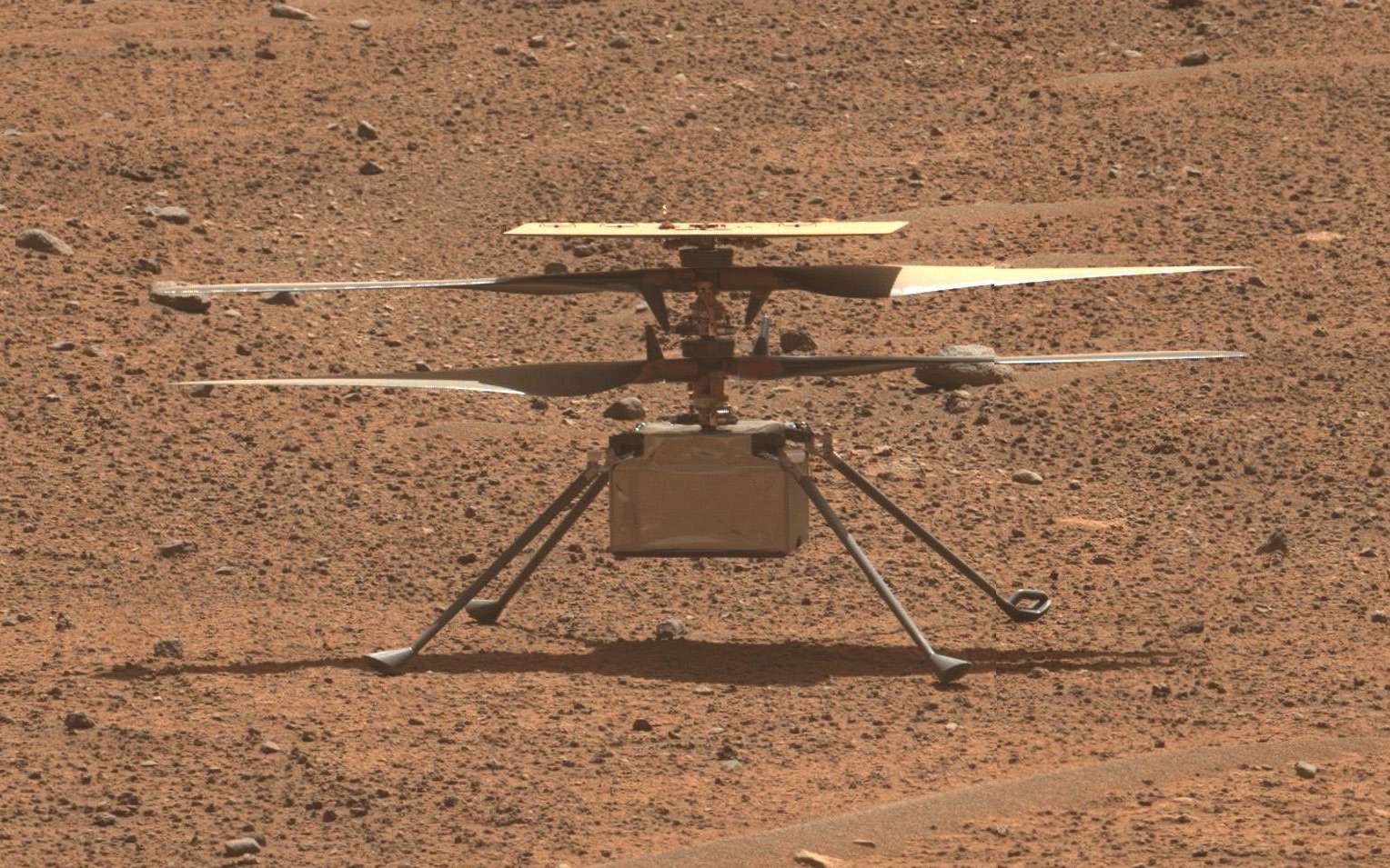 Mars : deux images fantastiques d'Ingenuity et de Perseverance vus du ciel