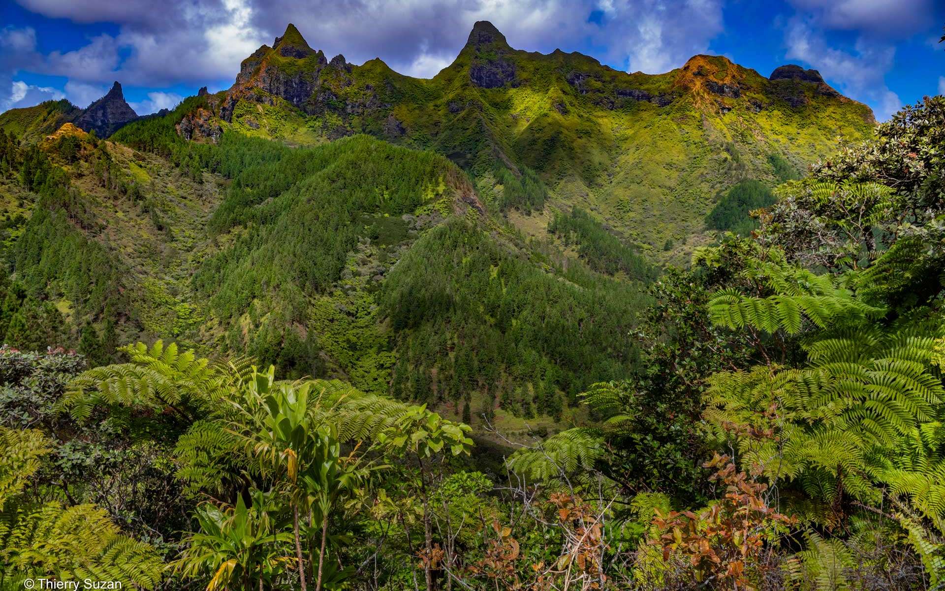 Îles Australes : l'archipel du bout du monde