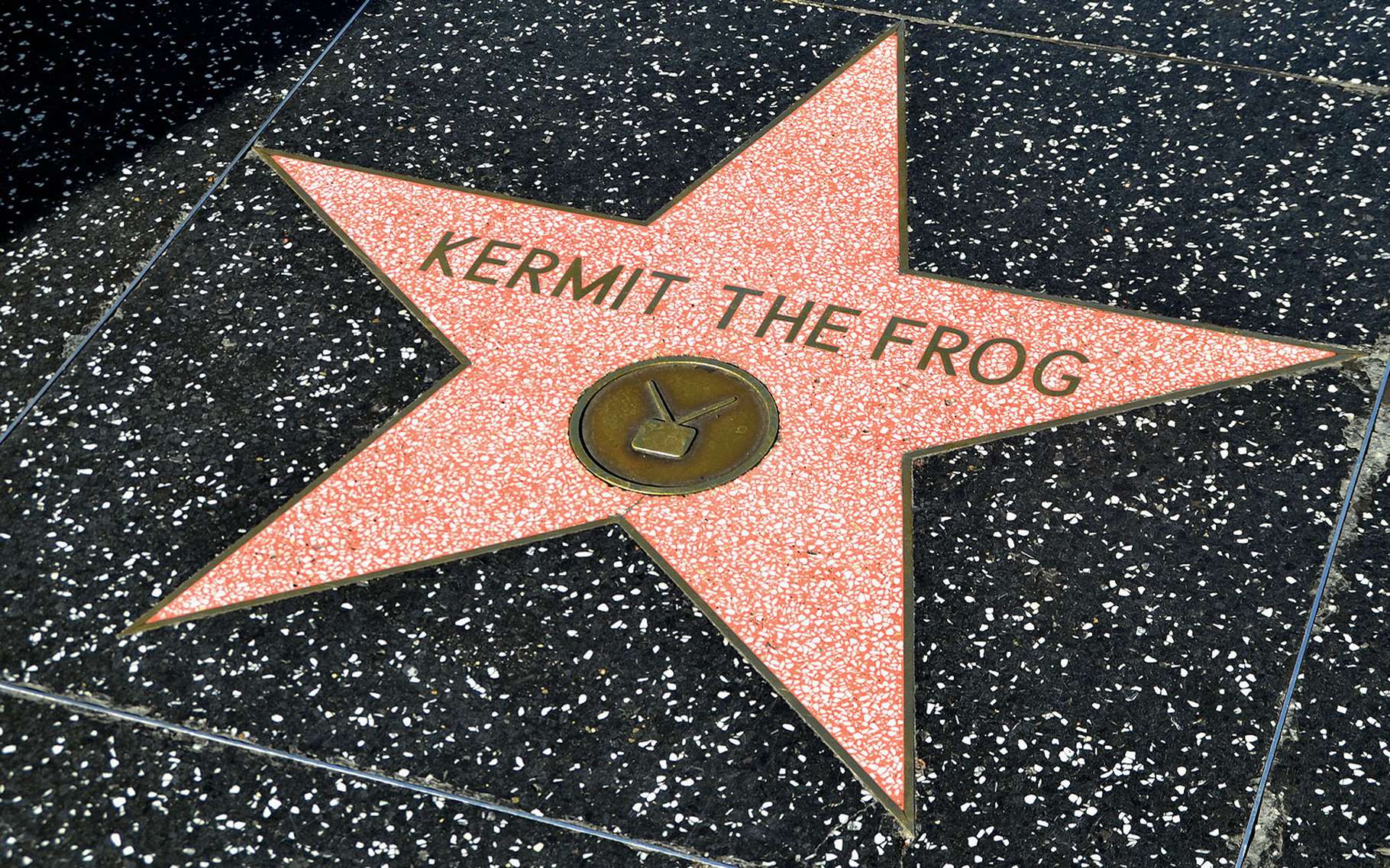 Hollywood Le Walk Of Fame De Los Angeles Dossier 