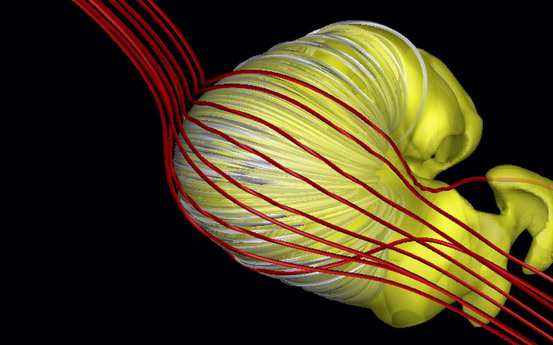 L'héliosphère, la bulle qui entoure le Système solaire, aurait cette forme de « croissant dégonflé »