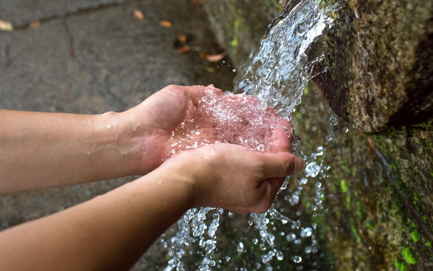 Vous pensez économiser l'eau ? Découvrez si c'est vraiment le cas avec ce nouvel outil !