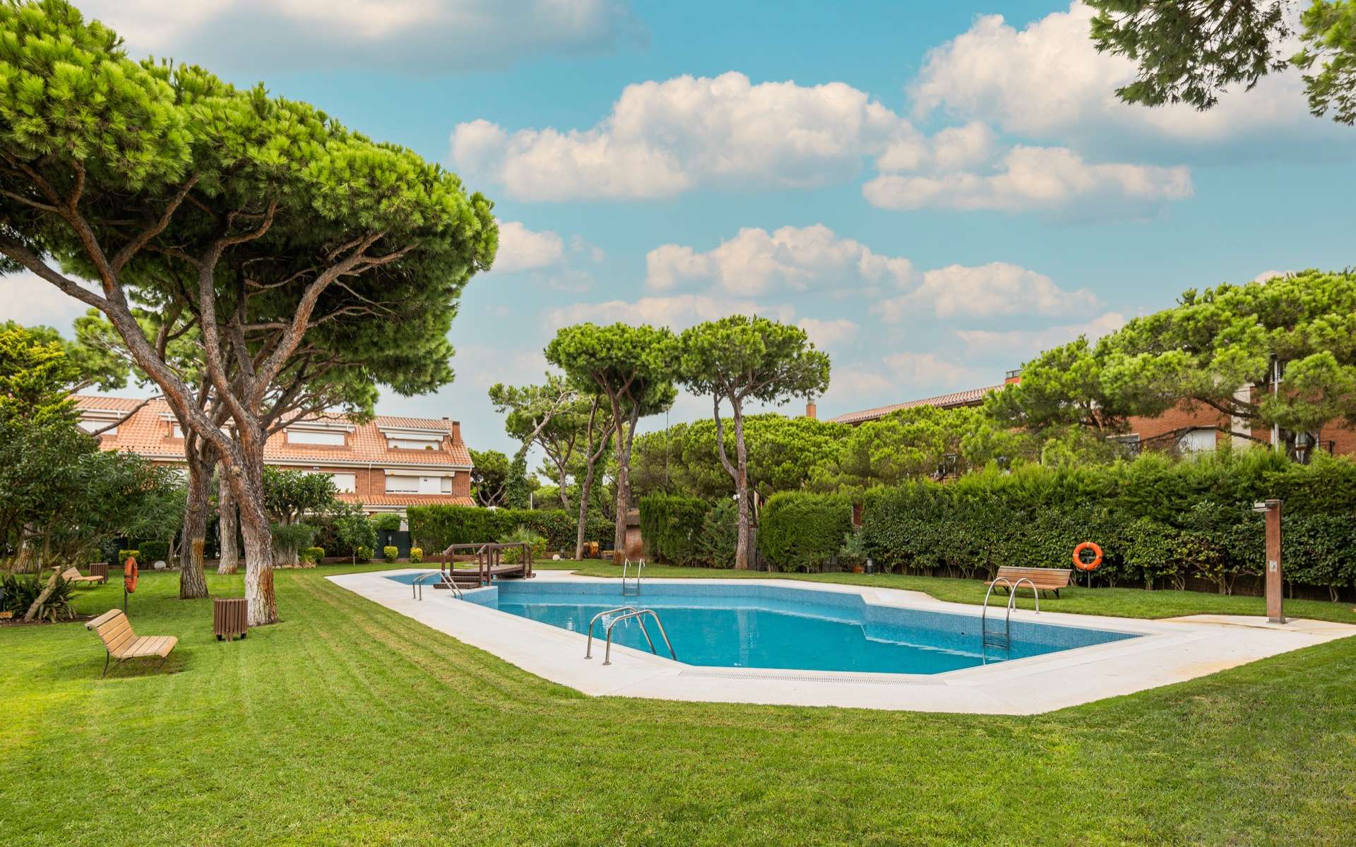 Ces arbres à ne surtout pas planter à côté de votre piscine !