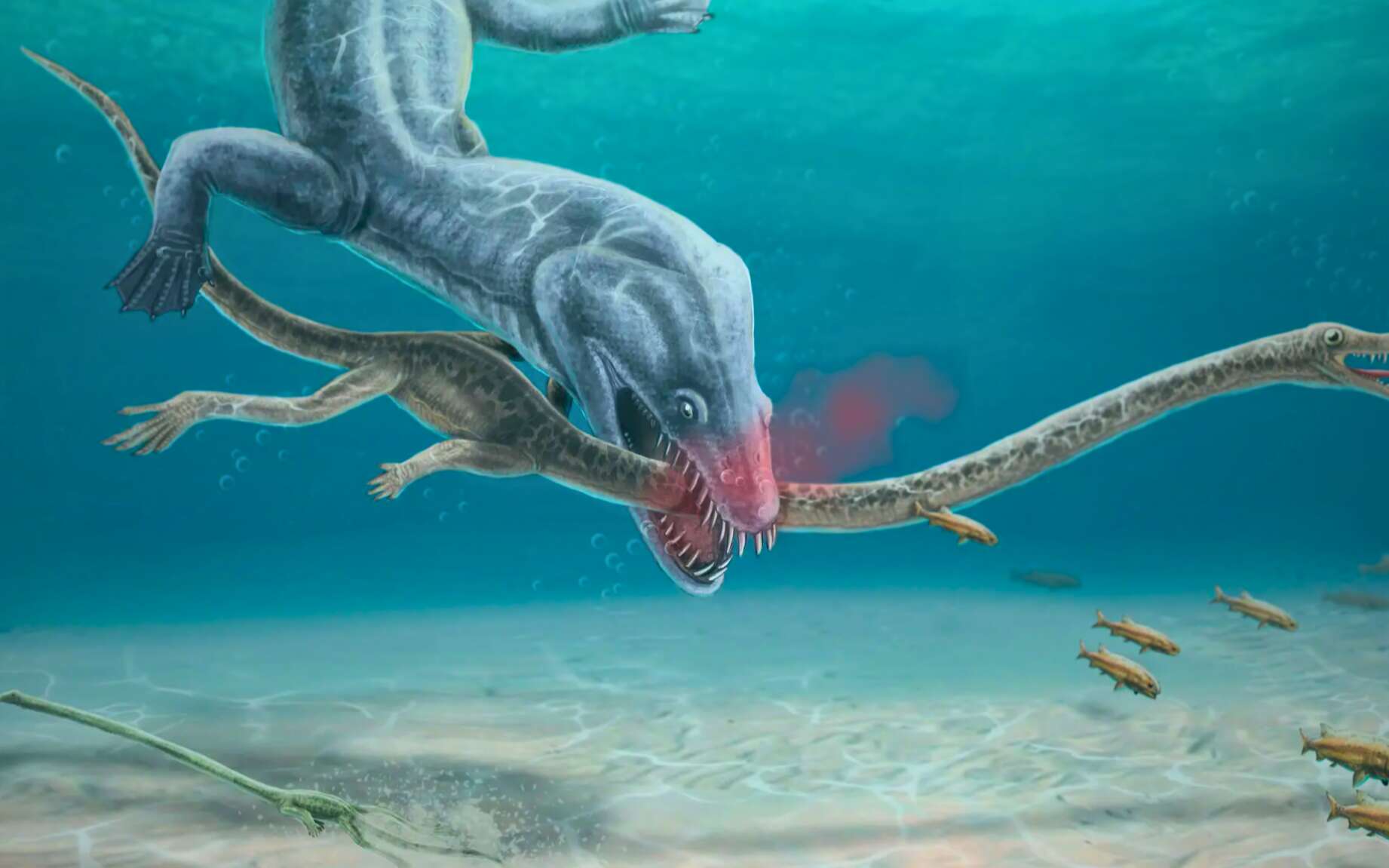 Ces reptiles préhistoriques à long cou sont morts décapités !