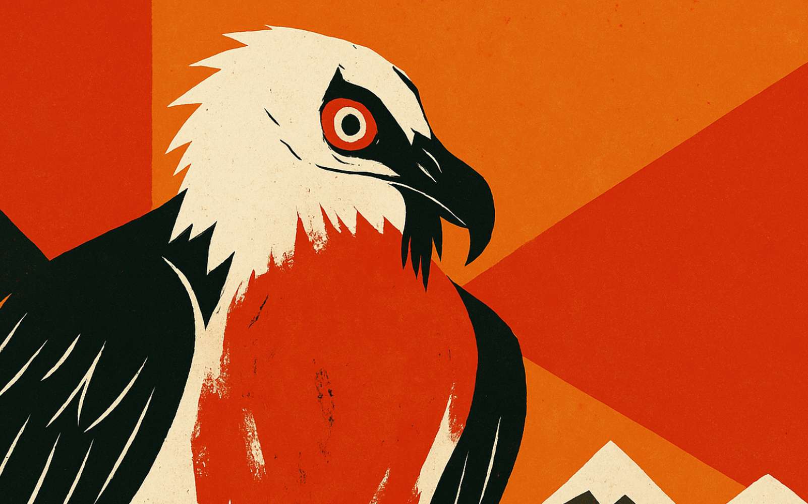 Ces oiseaux se maquillent régulièrement et c'est un vrai mystère pour les chercheurs !