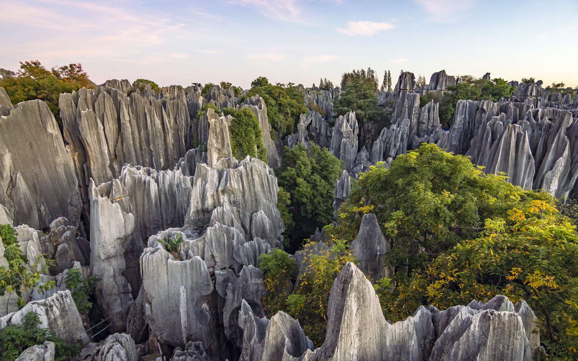 Comment ces forêts de pierres deviennent-elles si pointues ?