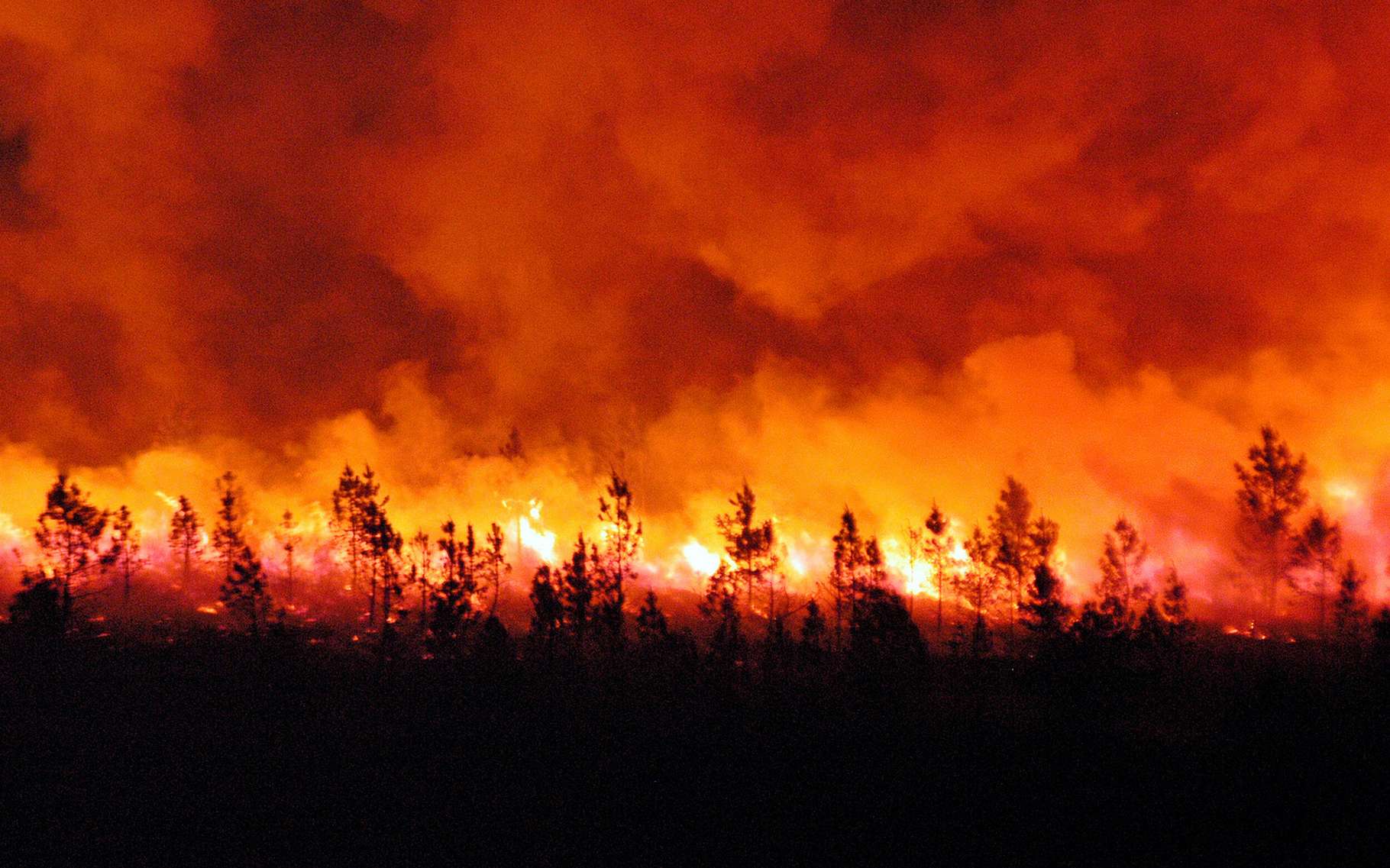Les incendies de forêt sont 4 fois plus importants et 3 fois plus fréquents depuis 20 ans !