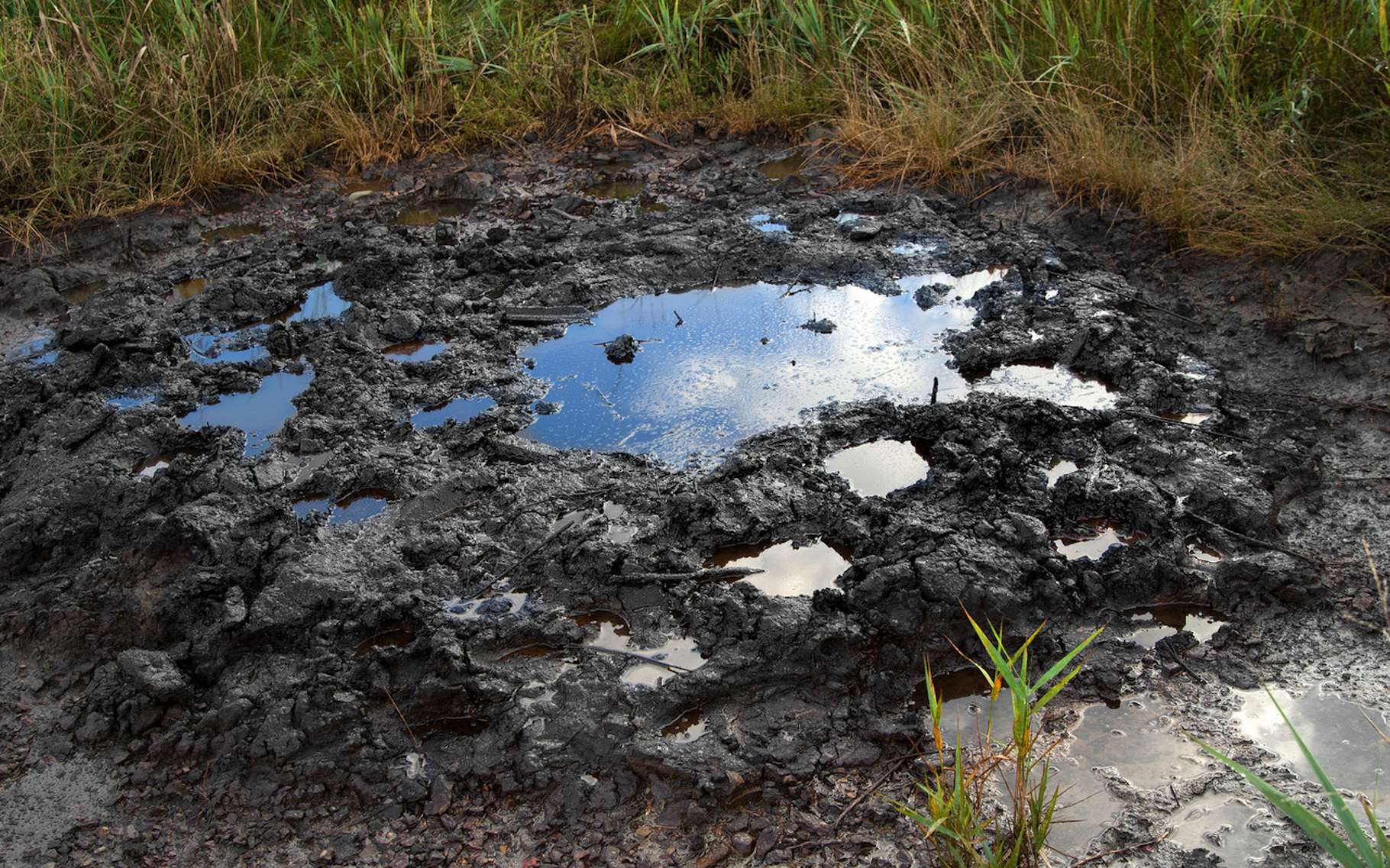 Des Sols Pollués Au Pétrole Lourd Décontaminés Et Rendus