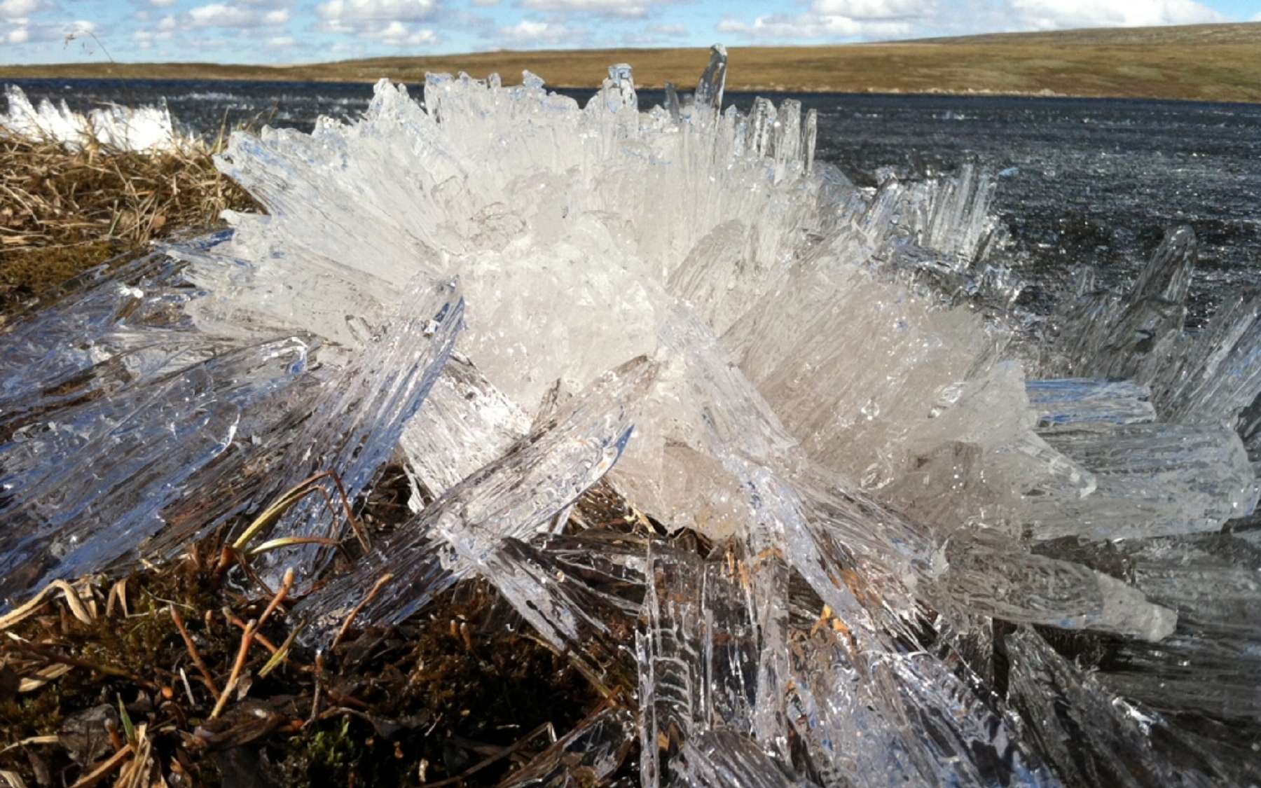 Phénomène météo extraordinaire : les aiguilles de glace