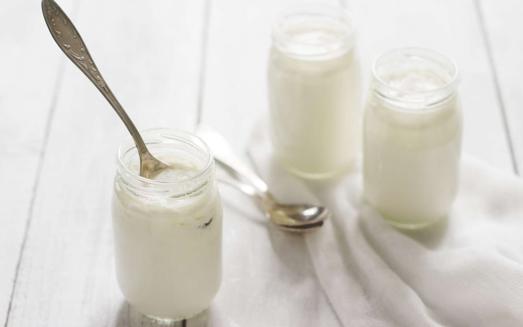 Dans les produits laitiers comme le yaourts, des bactéries réalisent la fermentation lactique. © Janna, Fotolia