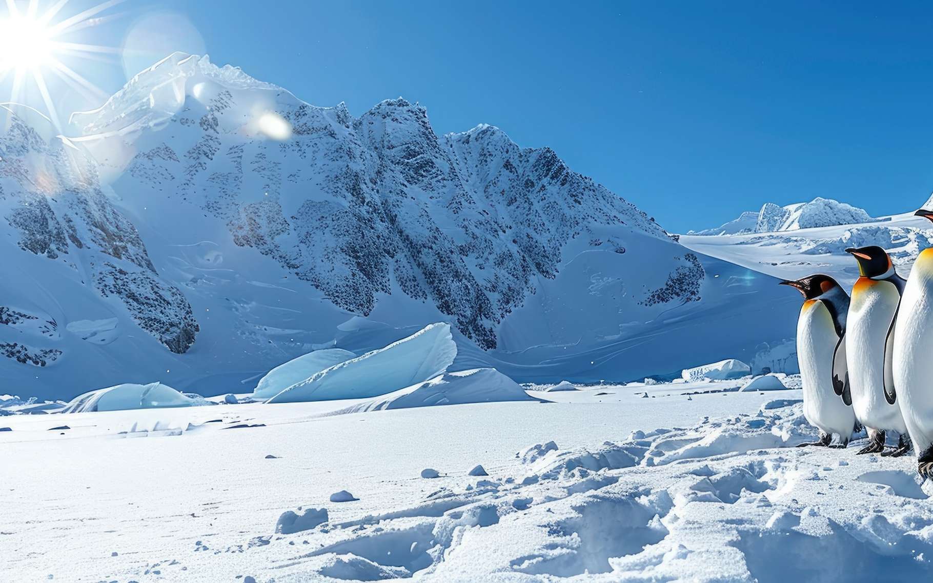 En Antarctique, les barrières de glace fondent deux fois plus vite qu'il y a 50 ans !