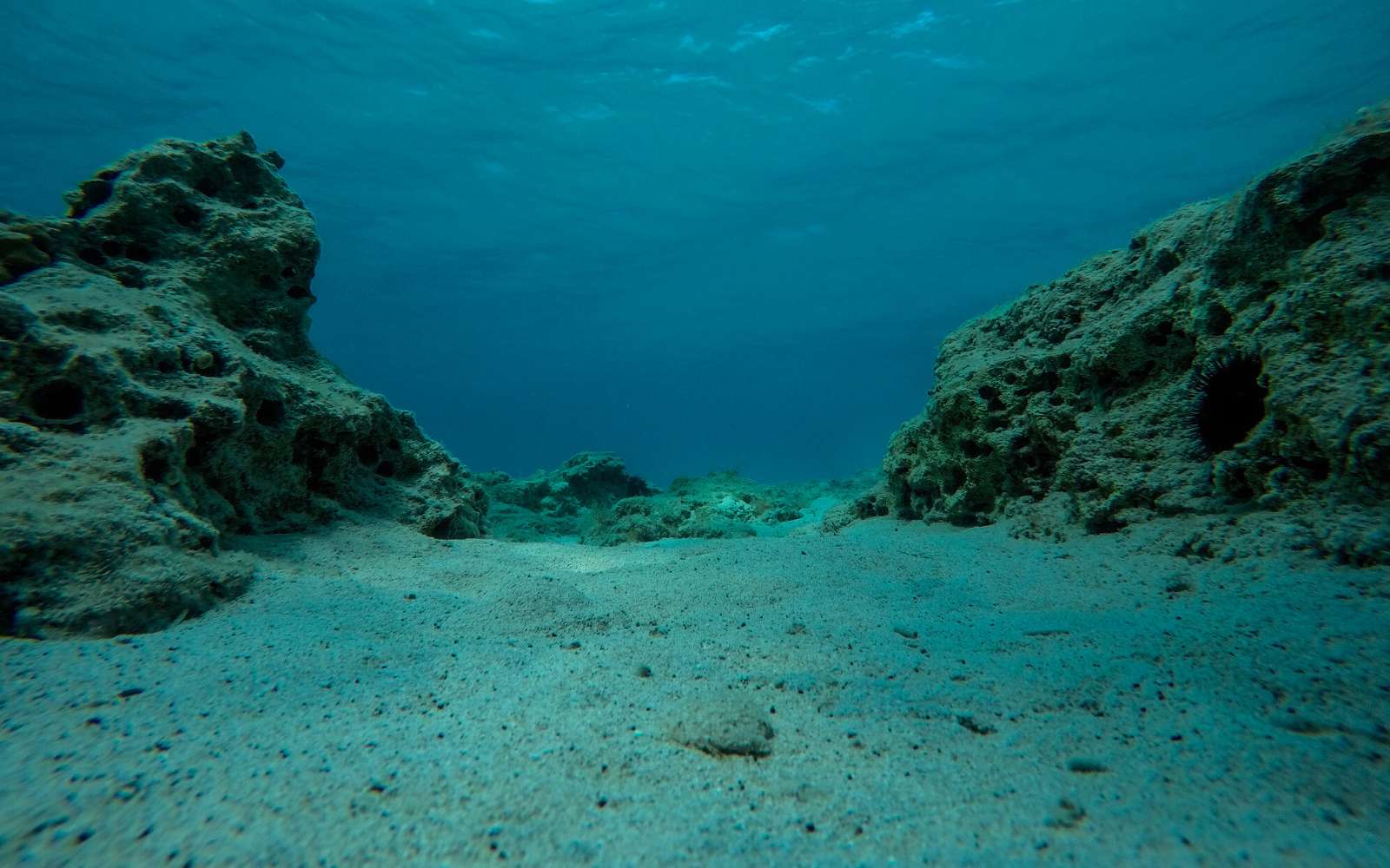 Un gigantesque réservoir d'eau caché sous l'océan Pacifique vient d'être découvert