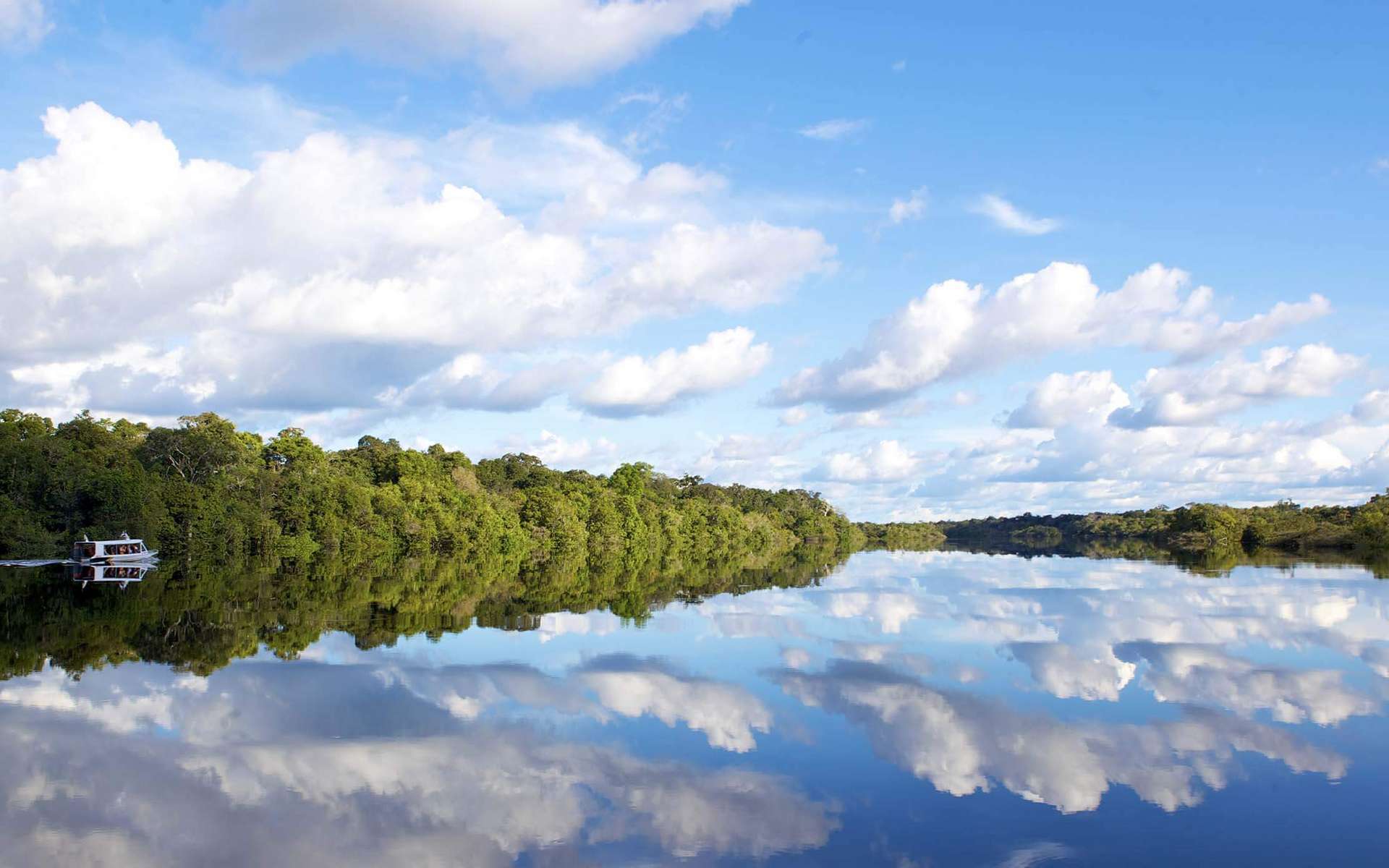 Croisière amazonienne : que savez-vous vraiment de l'Amazonie ?