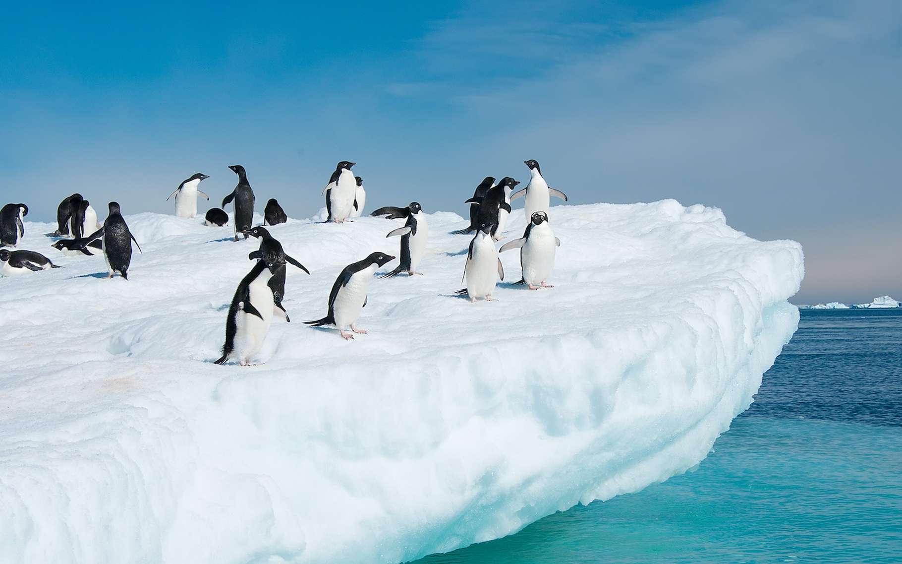La calotte glaciaire de l'Antarctique pourrait s'effondrer beaucoup plus tôt qu'on ne le pensait