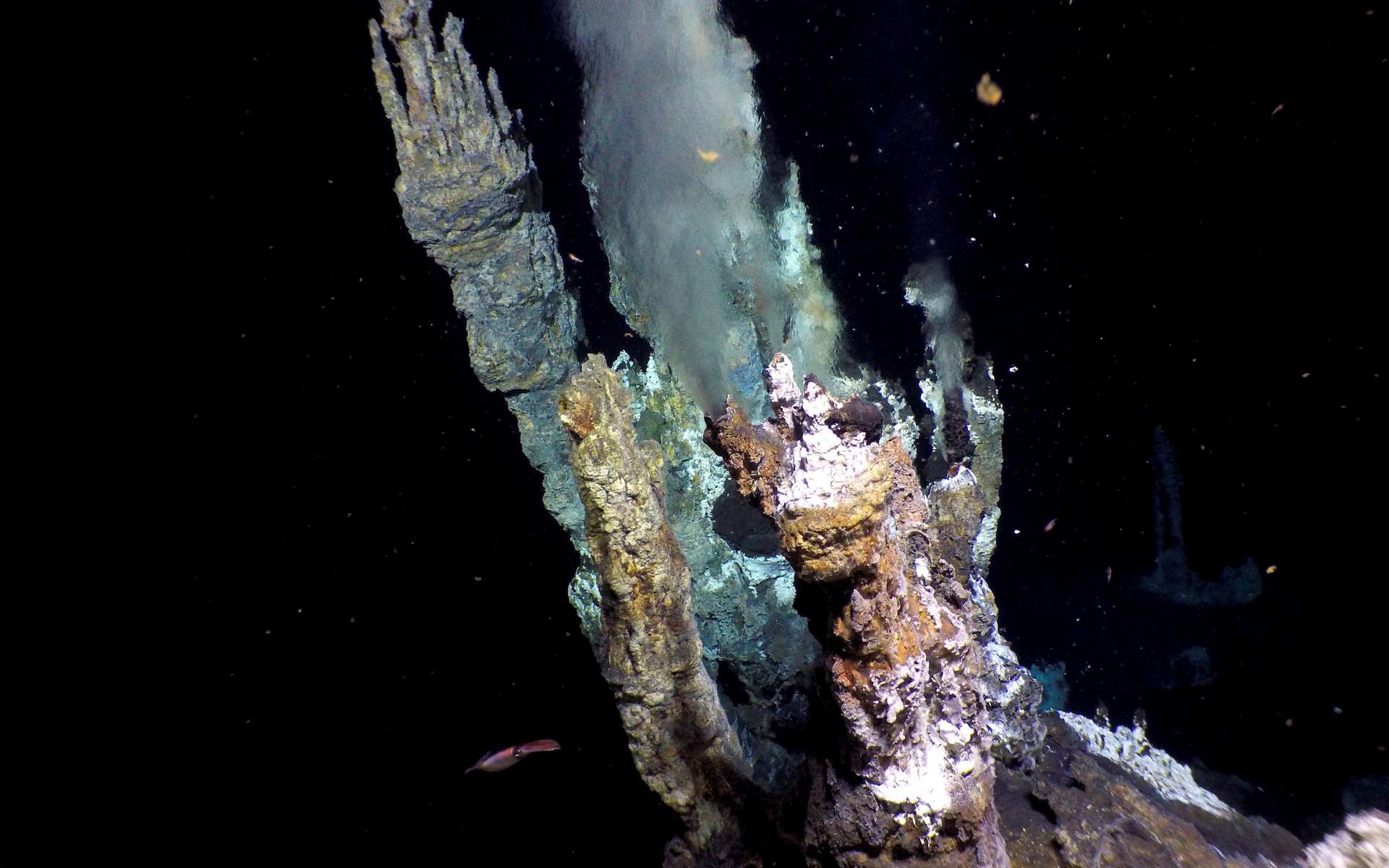 Cheminée hydrothermale du champ hydrothermal de Jan Mayen. © Thibaut Barreyre (imaggeo.egu.eu)