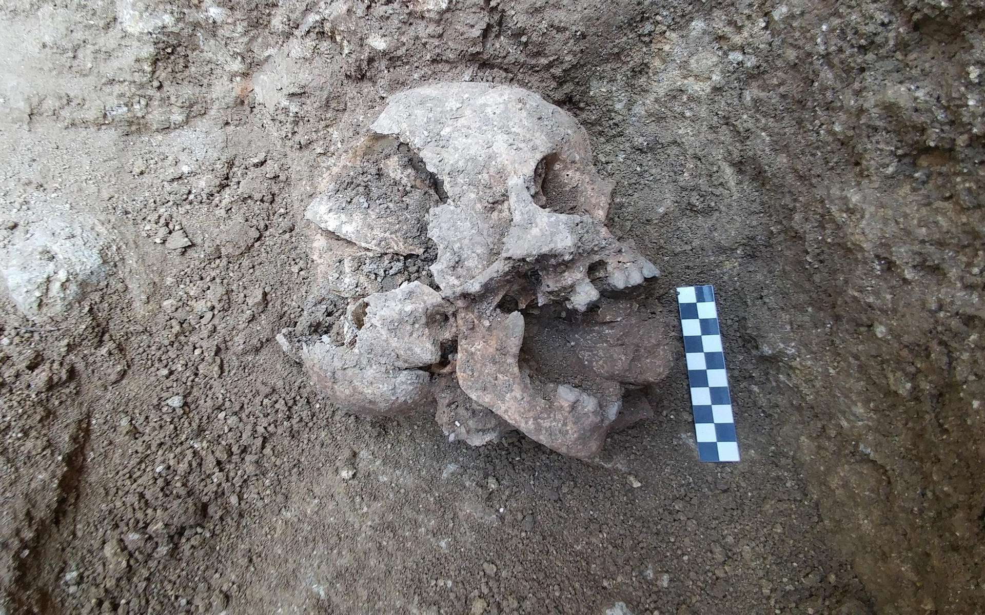 Des archéologues ont déterré le squelette d’un enfant de 10 ans, enterré comme un vampire. © David Pickel, Stanford University