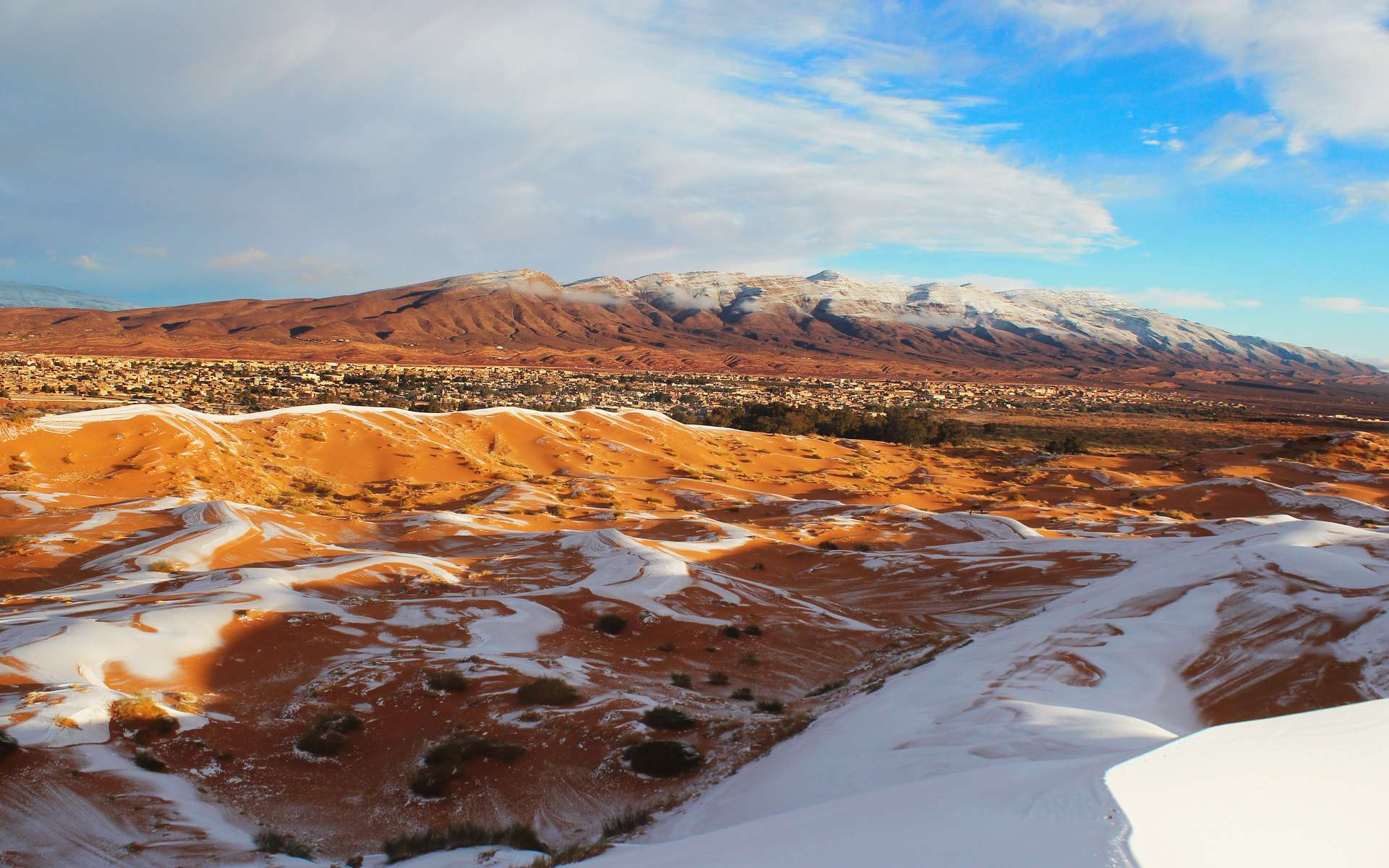 Le jour où l'Algérie est entrée dans l'histoire avec un record de froid !