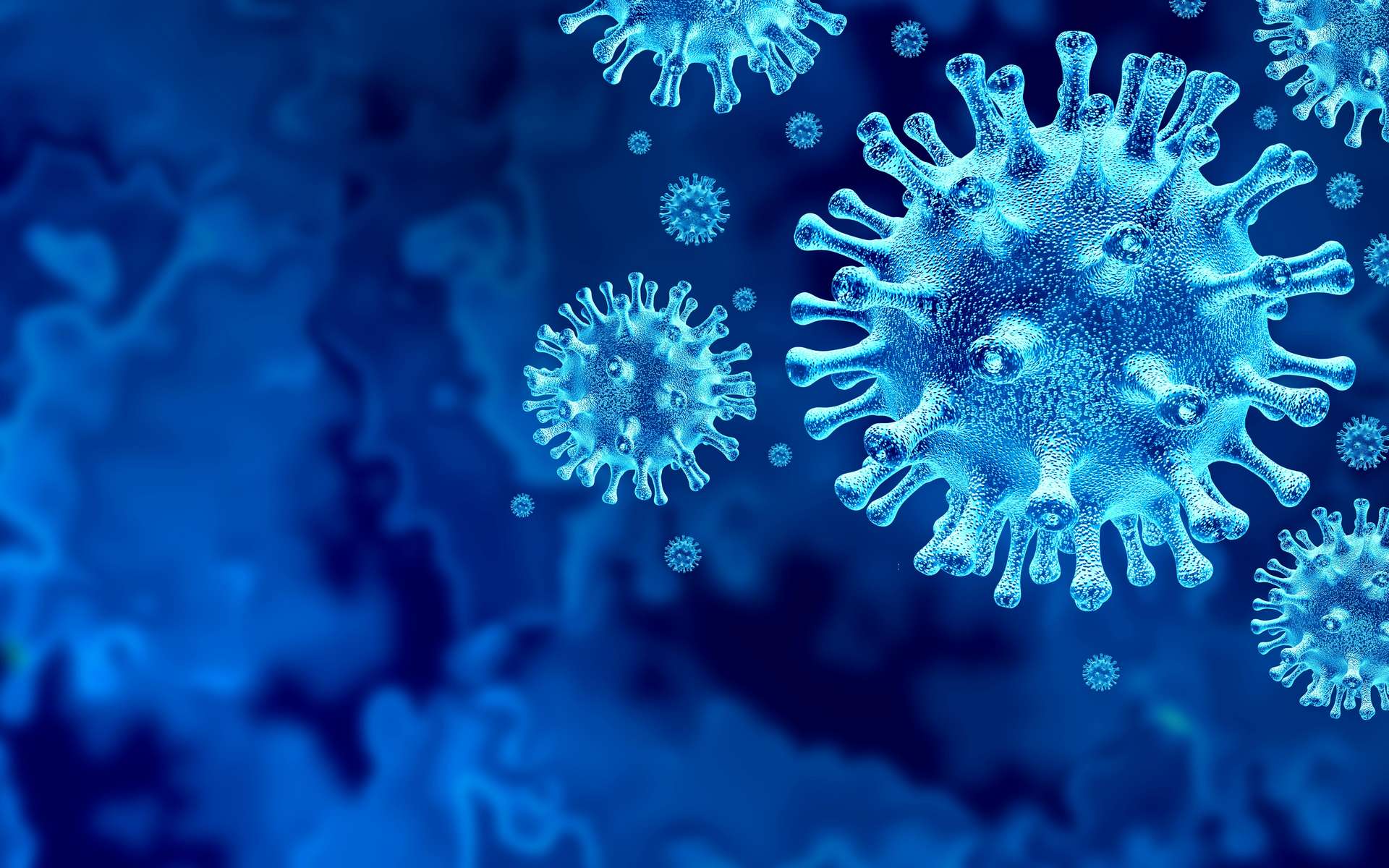 Les coronavirus se servent d'une enzyme au sein de la machinerie cellulaire pour se multiplier. © Freshidea, Adobe Stock
