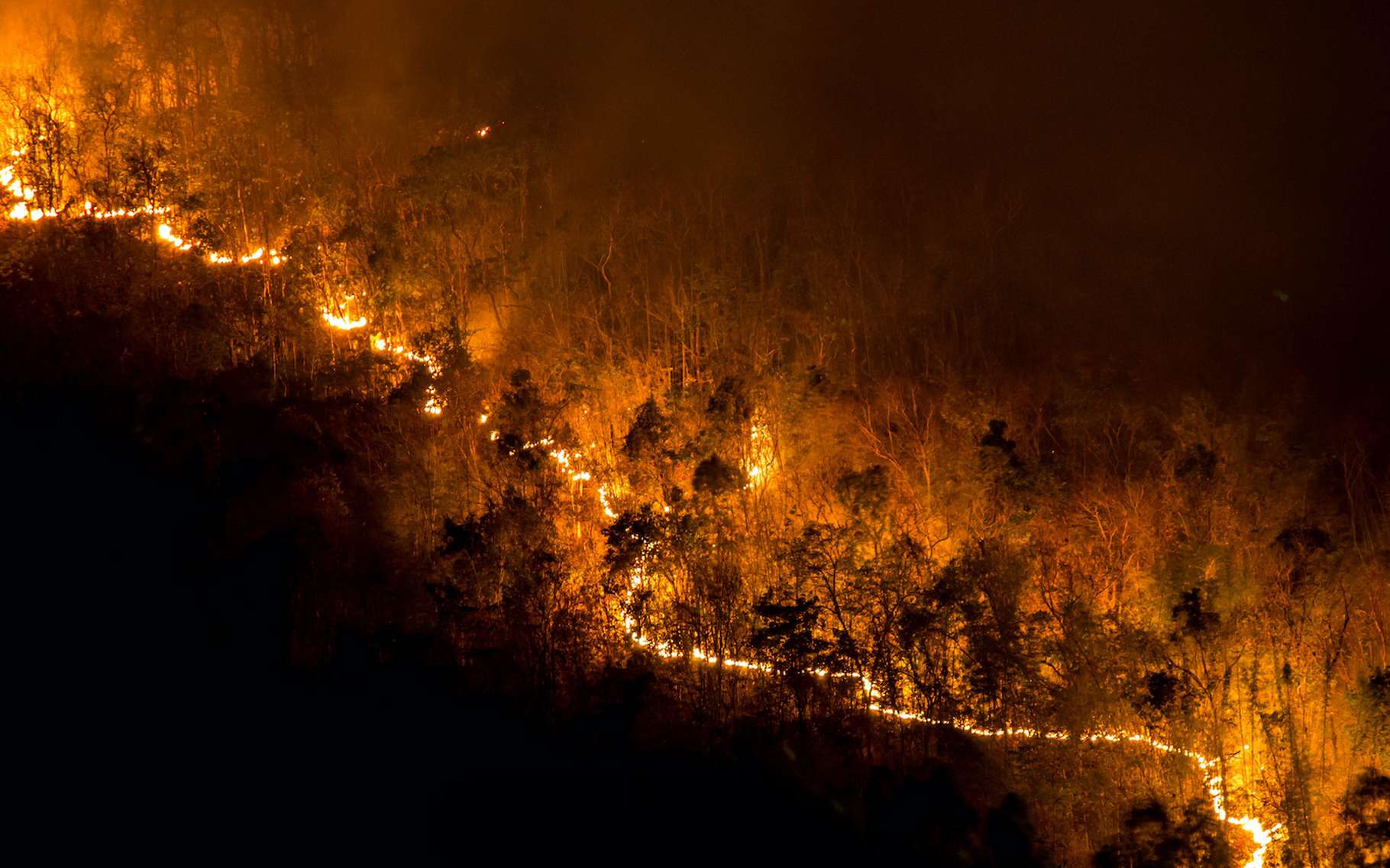 Les scientifiques annoncent une recrudescence des mégafeux de forêt dans les années qui viennent. Des feux de forêt qui seraient aussi bien dommageables à la santé humaine qu’à la biodiversité et au climat. Ainsi les experts appellent à la mise en œuvre de plus de mesures de prévention. © prirach, Adobe Stock