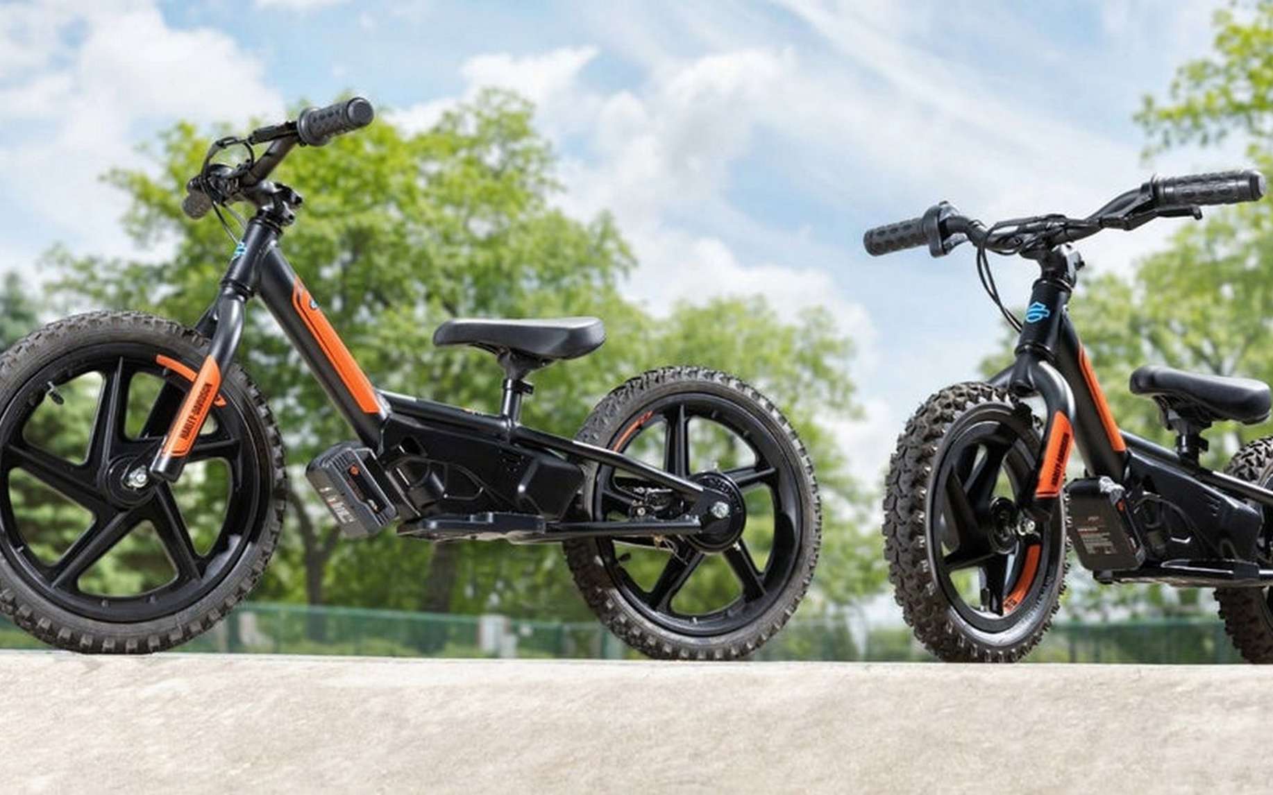 Vélo électrique harley davidson prix deals