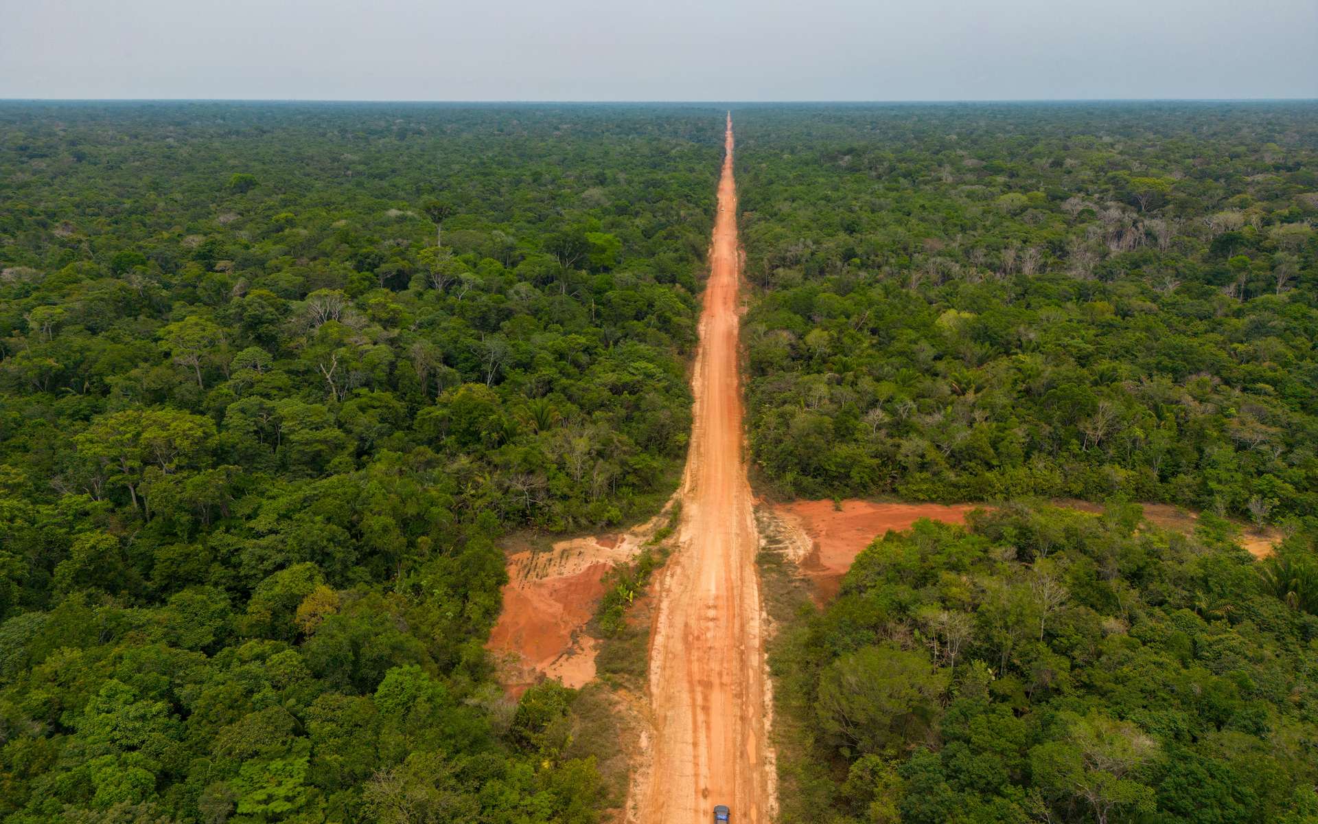 Tout va bien : une autoroute coupe en deux l'Amazonie pour accueillir la COP30 !