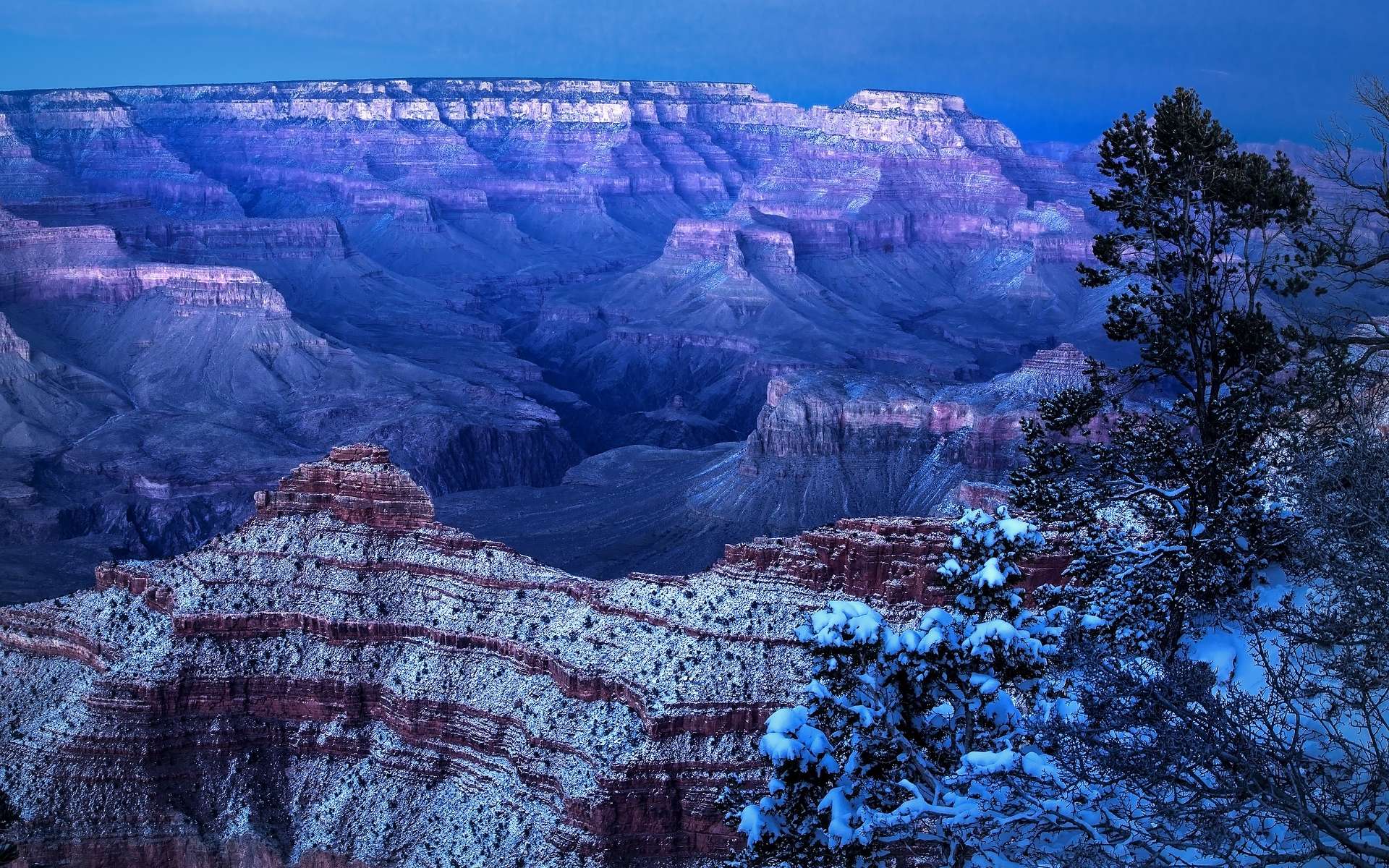 Rare images of the Arizona desert under the snow